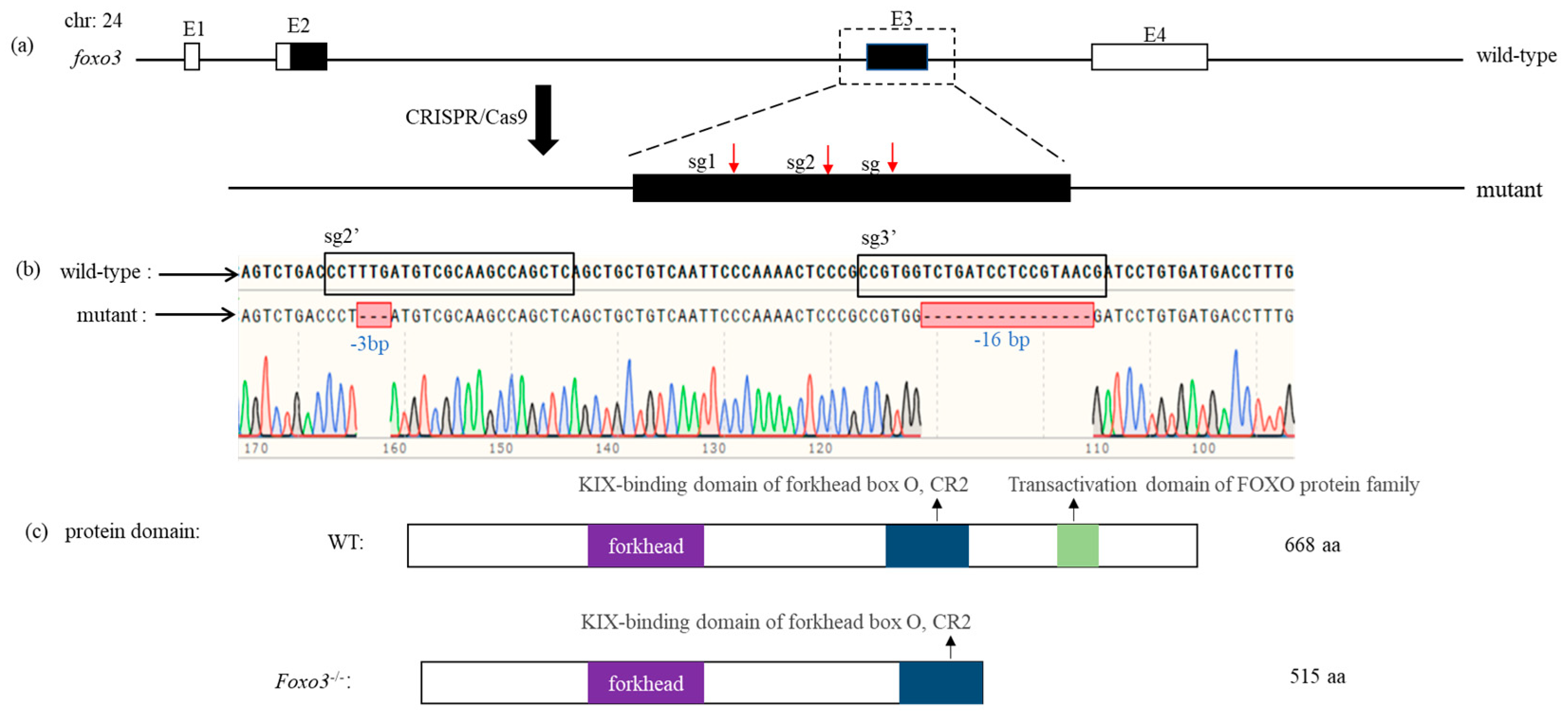 Animals 14 01587 g004