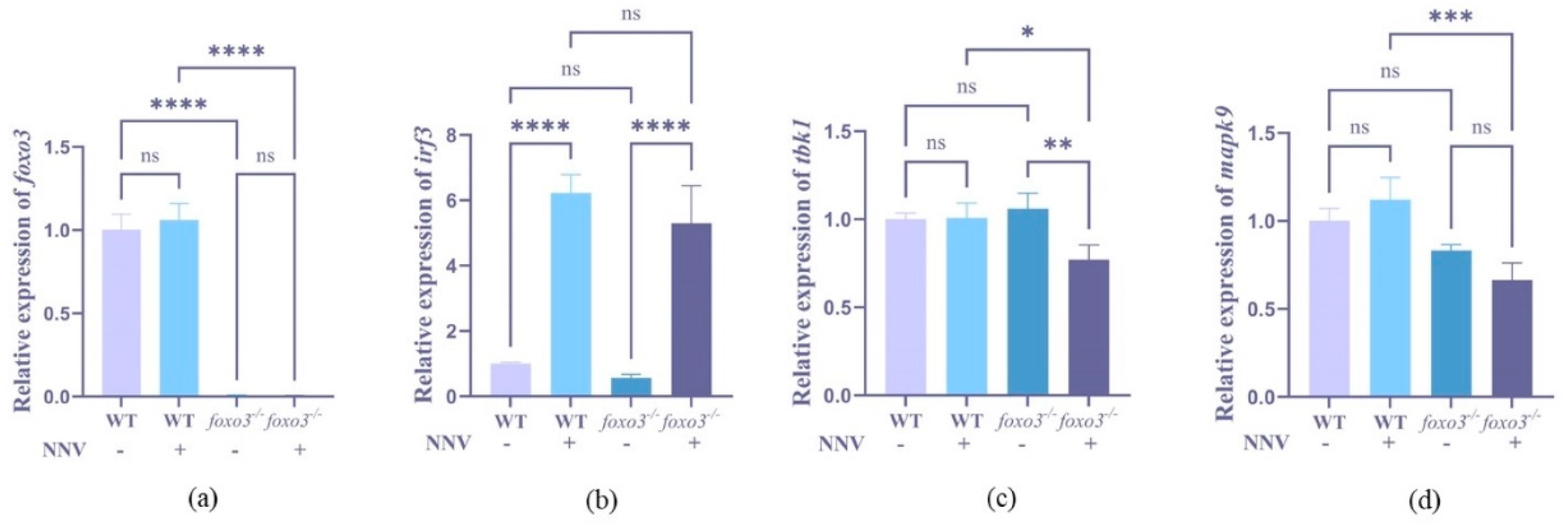 Animals 14 01587 g006