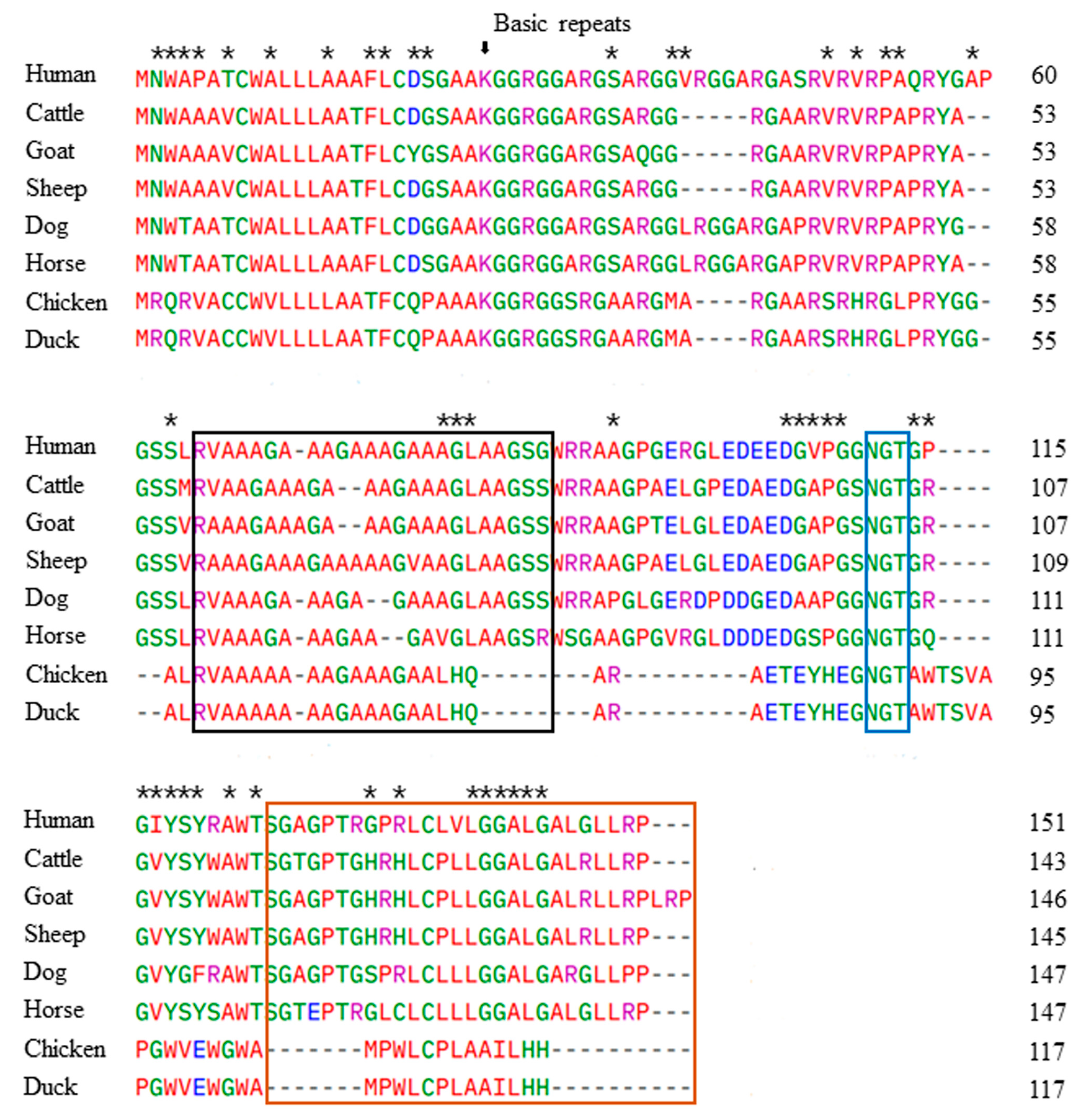 Animals 14 01588 g002