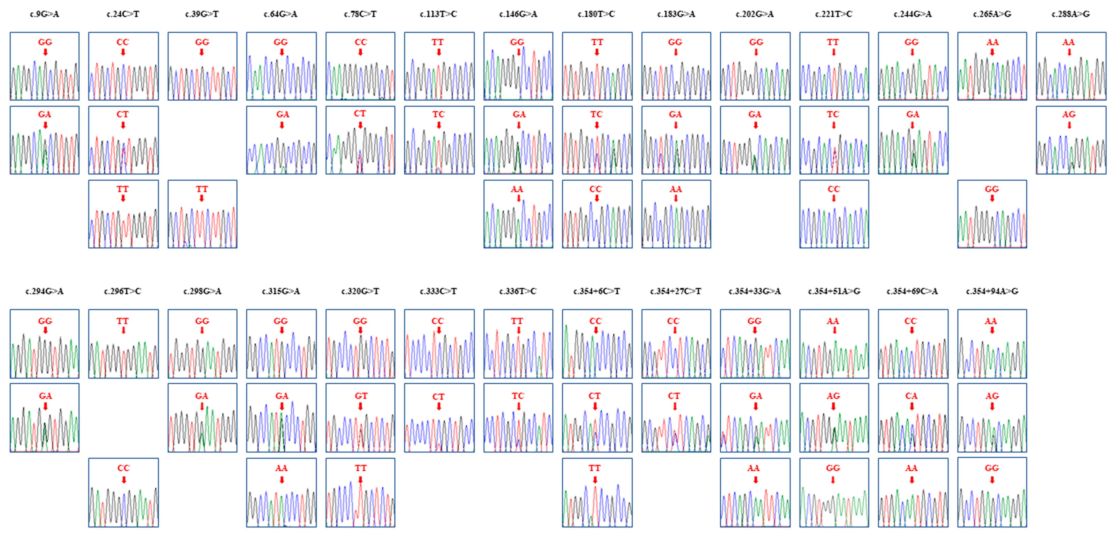 Animals 14 01588 g003