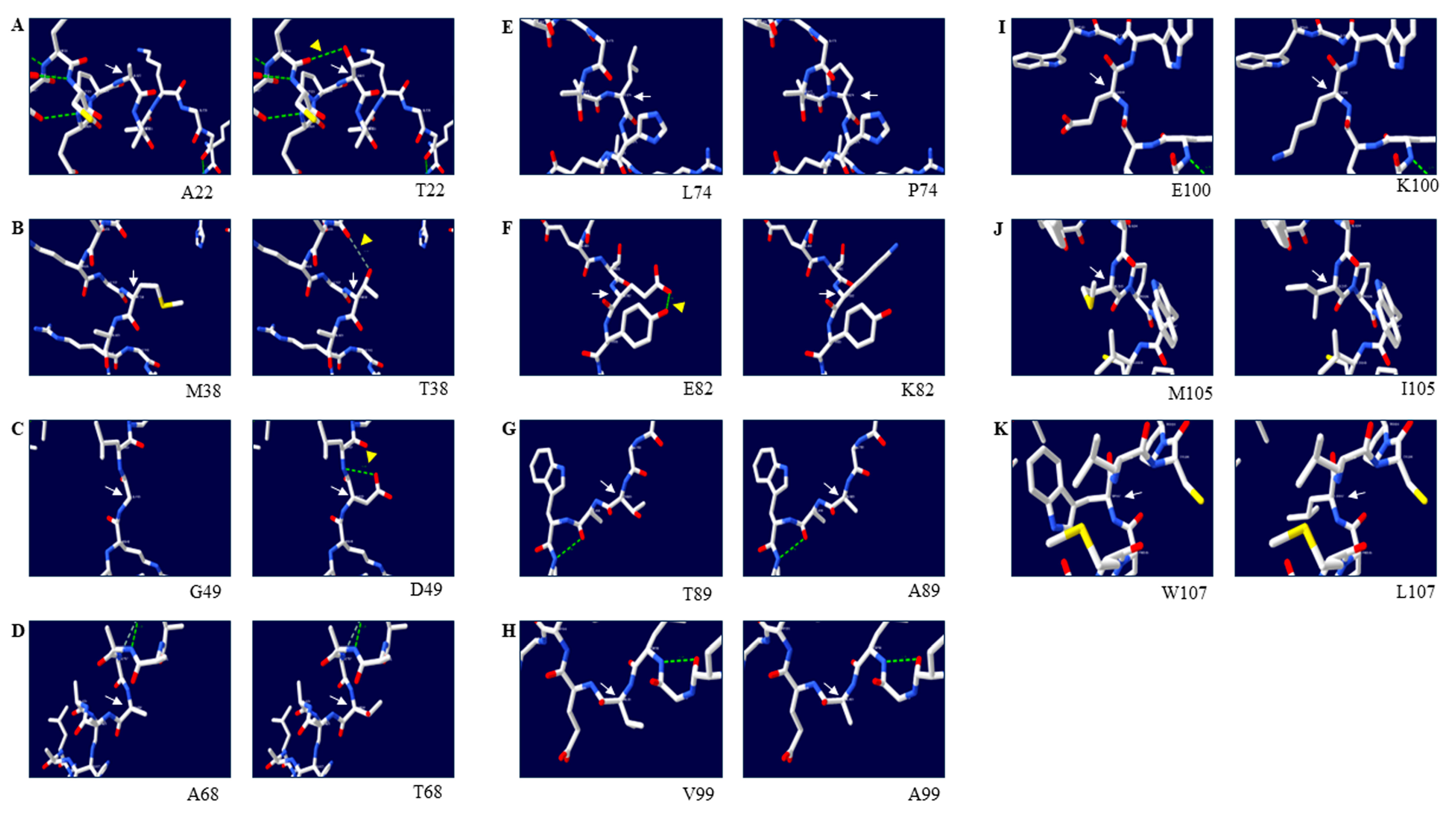 Animals 14 01588 g005