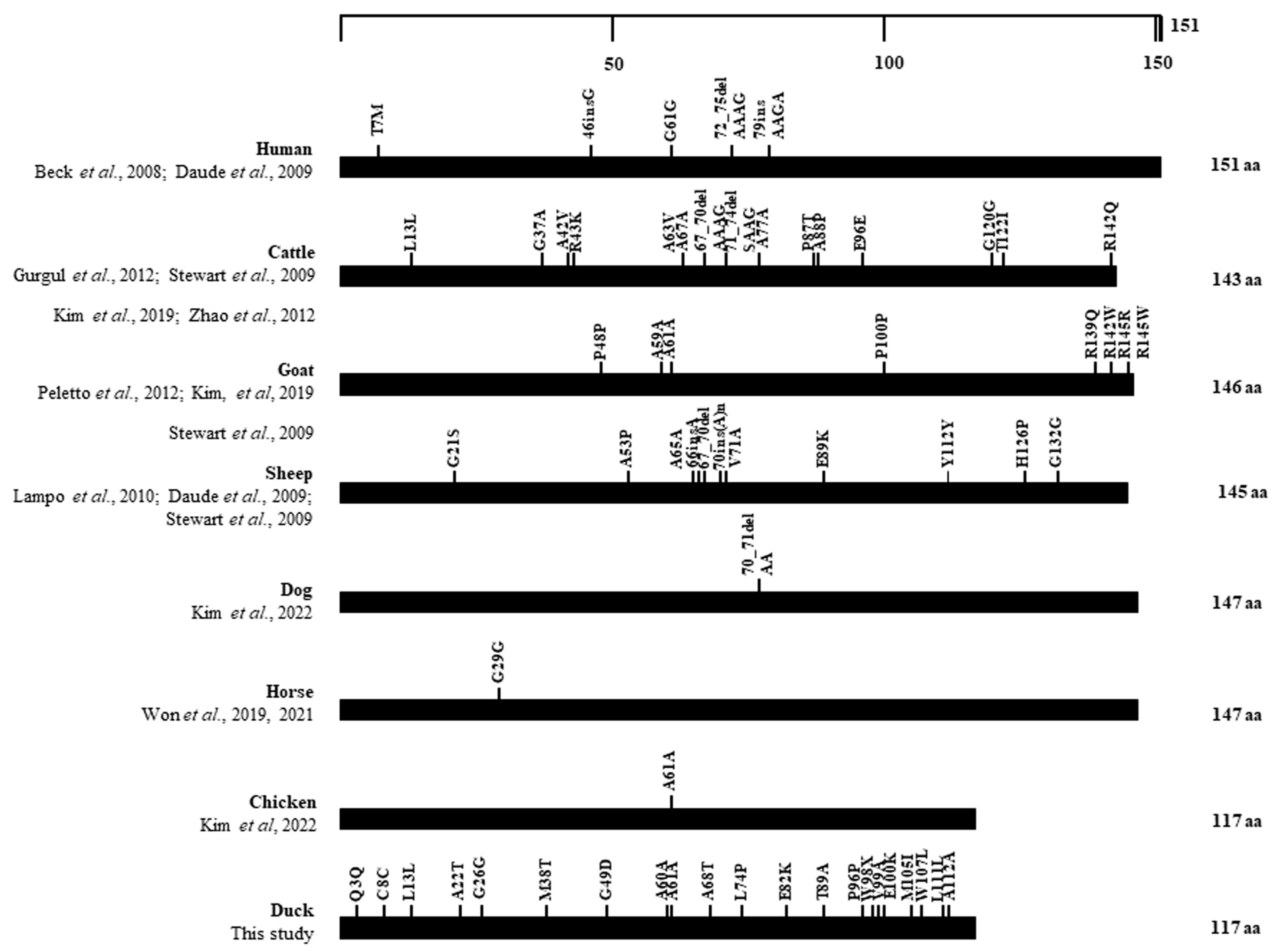 Animals 14 01588 g006