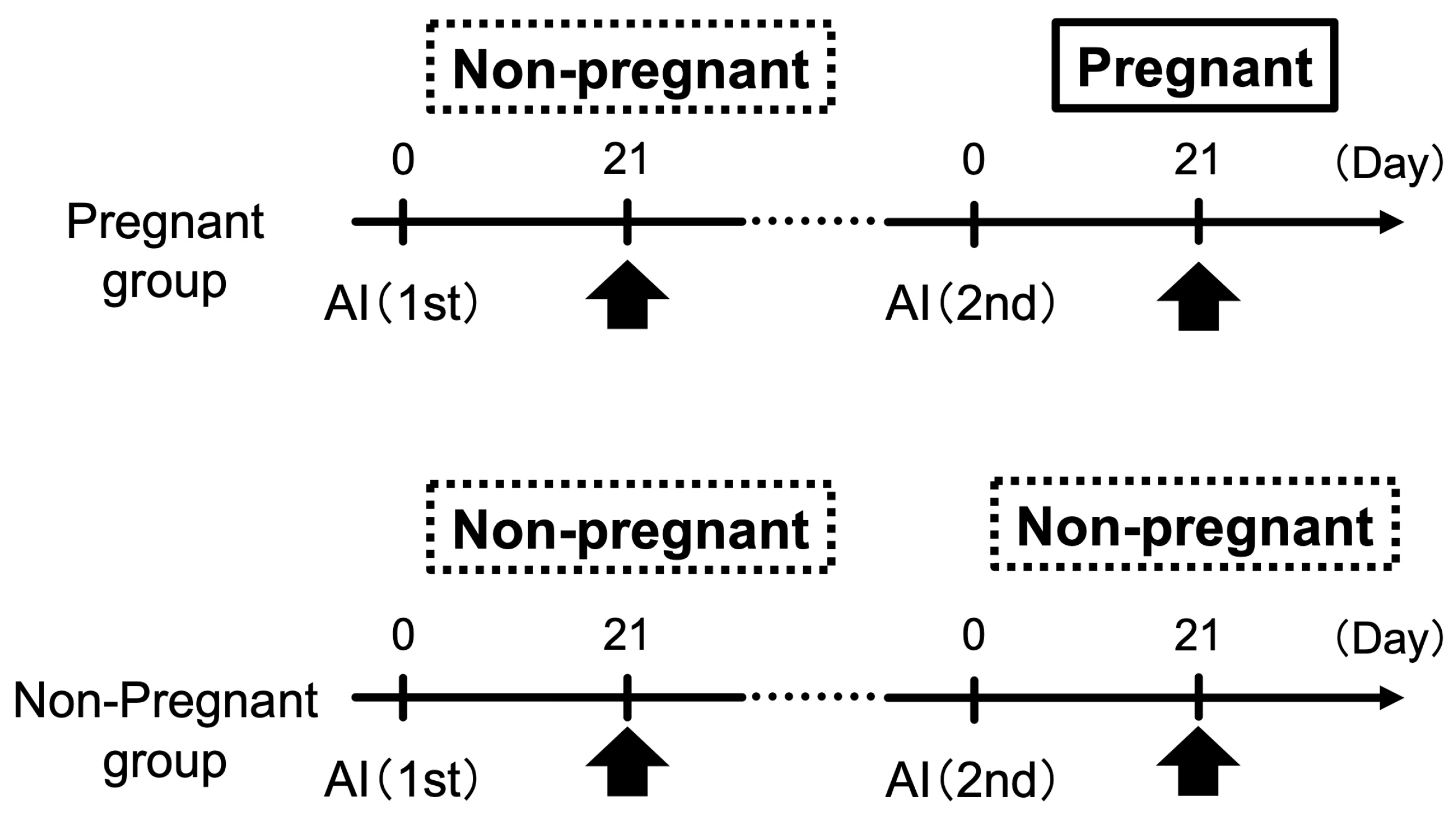 Animals 14 01592 g001