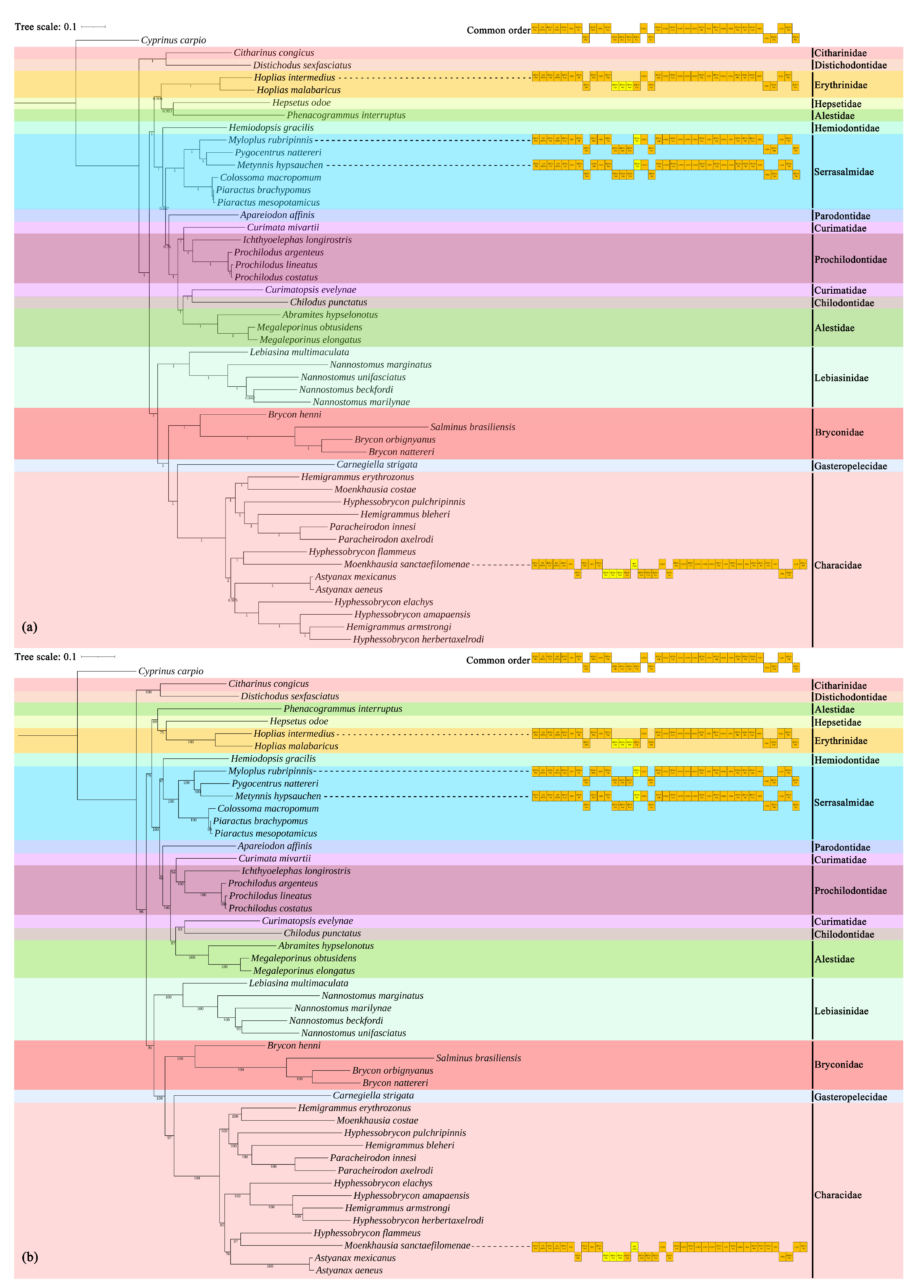 Animals 14 01598 g008