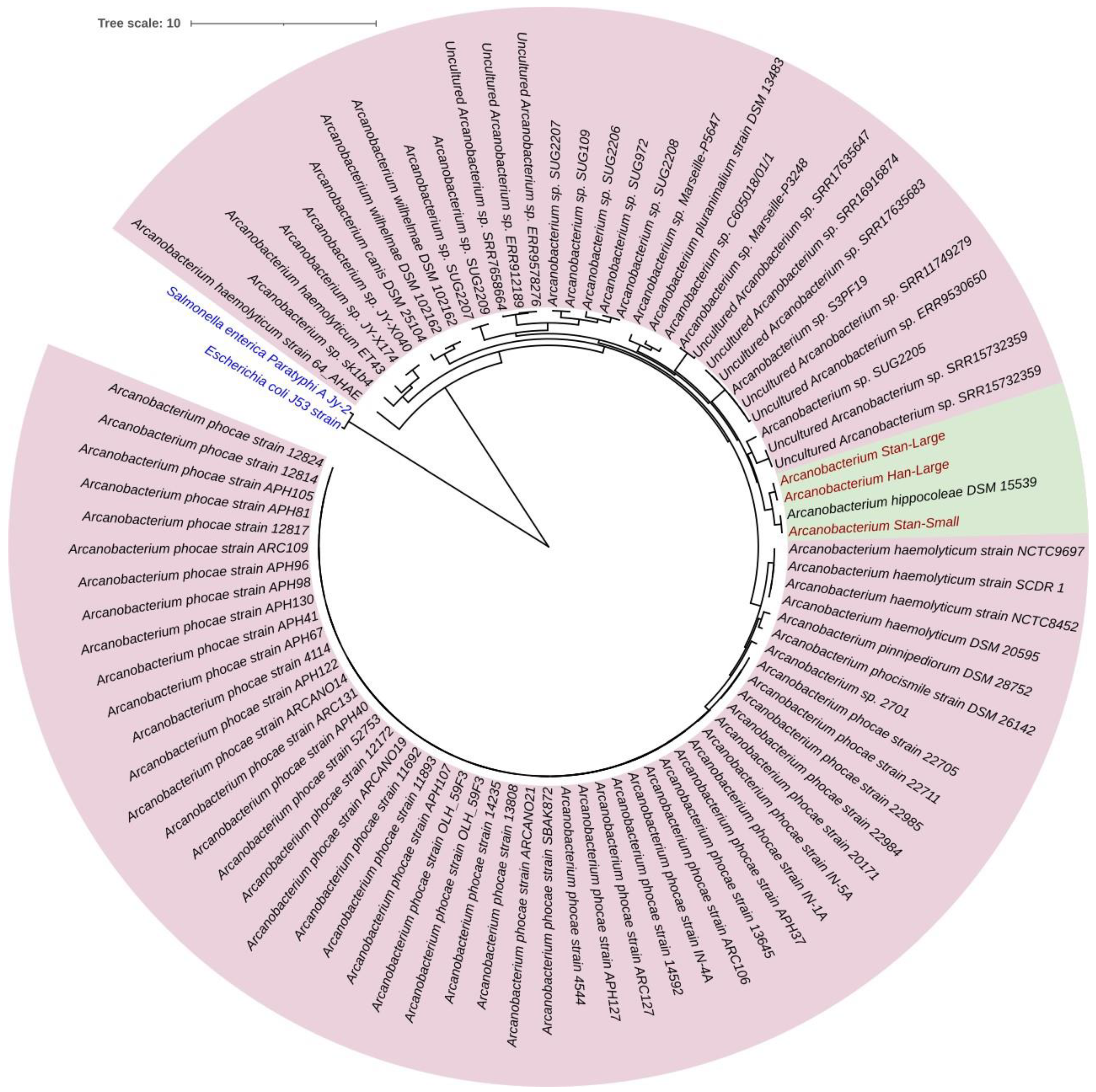 Animals 14 01609 g007