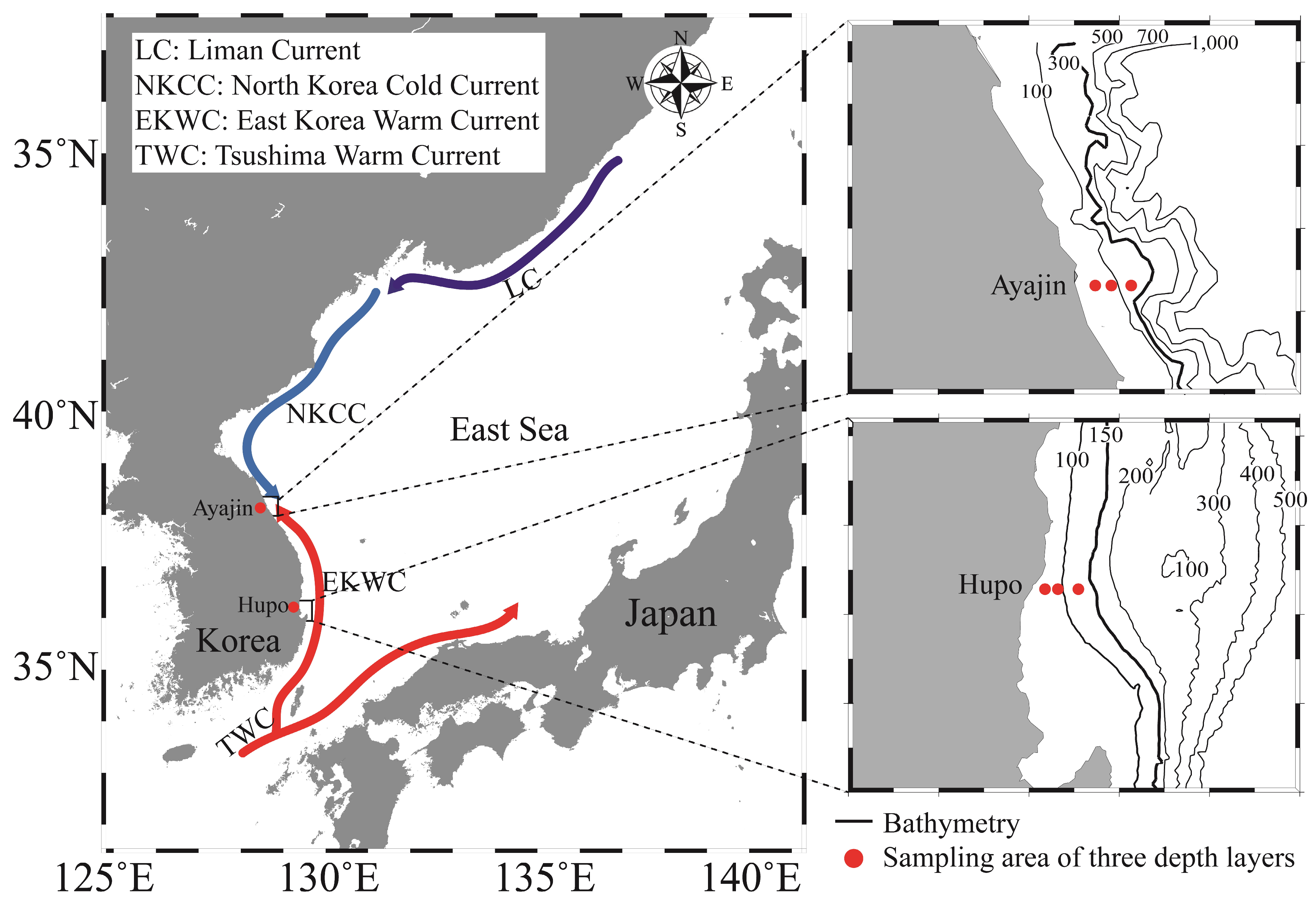 Animals 14 01612 g001