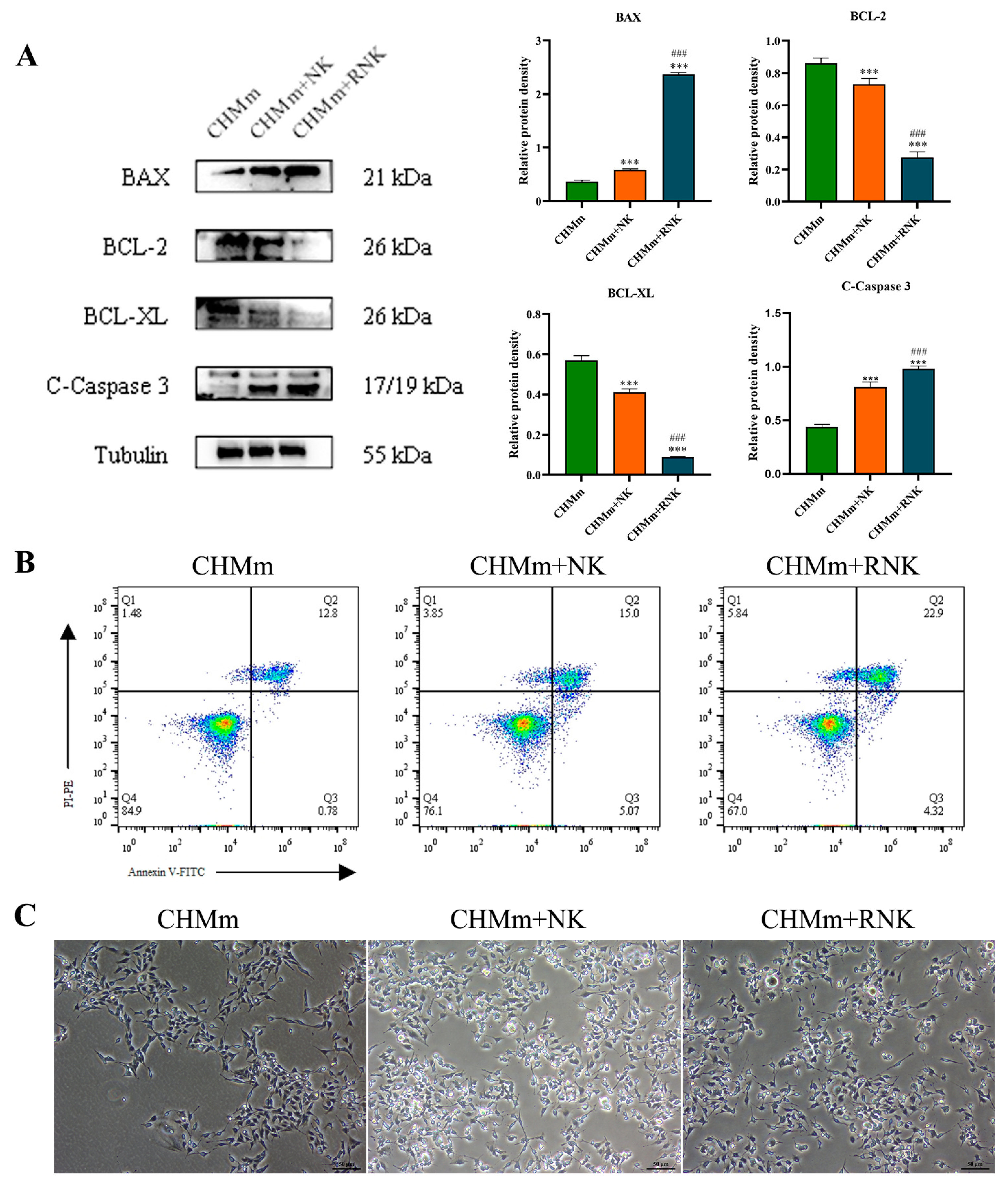 Animals 14 01636 g003