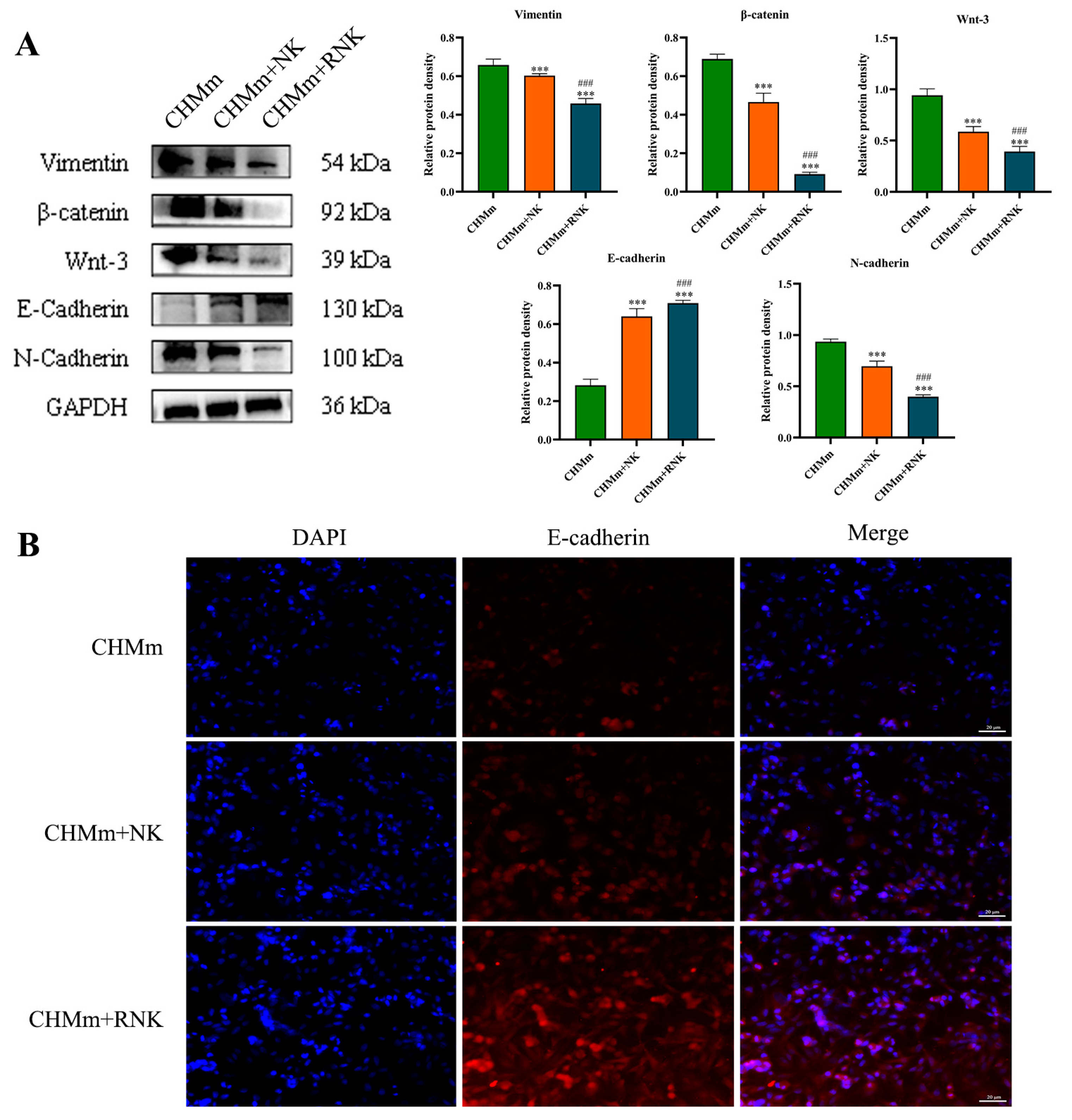 Animals 14 01636 g006