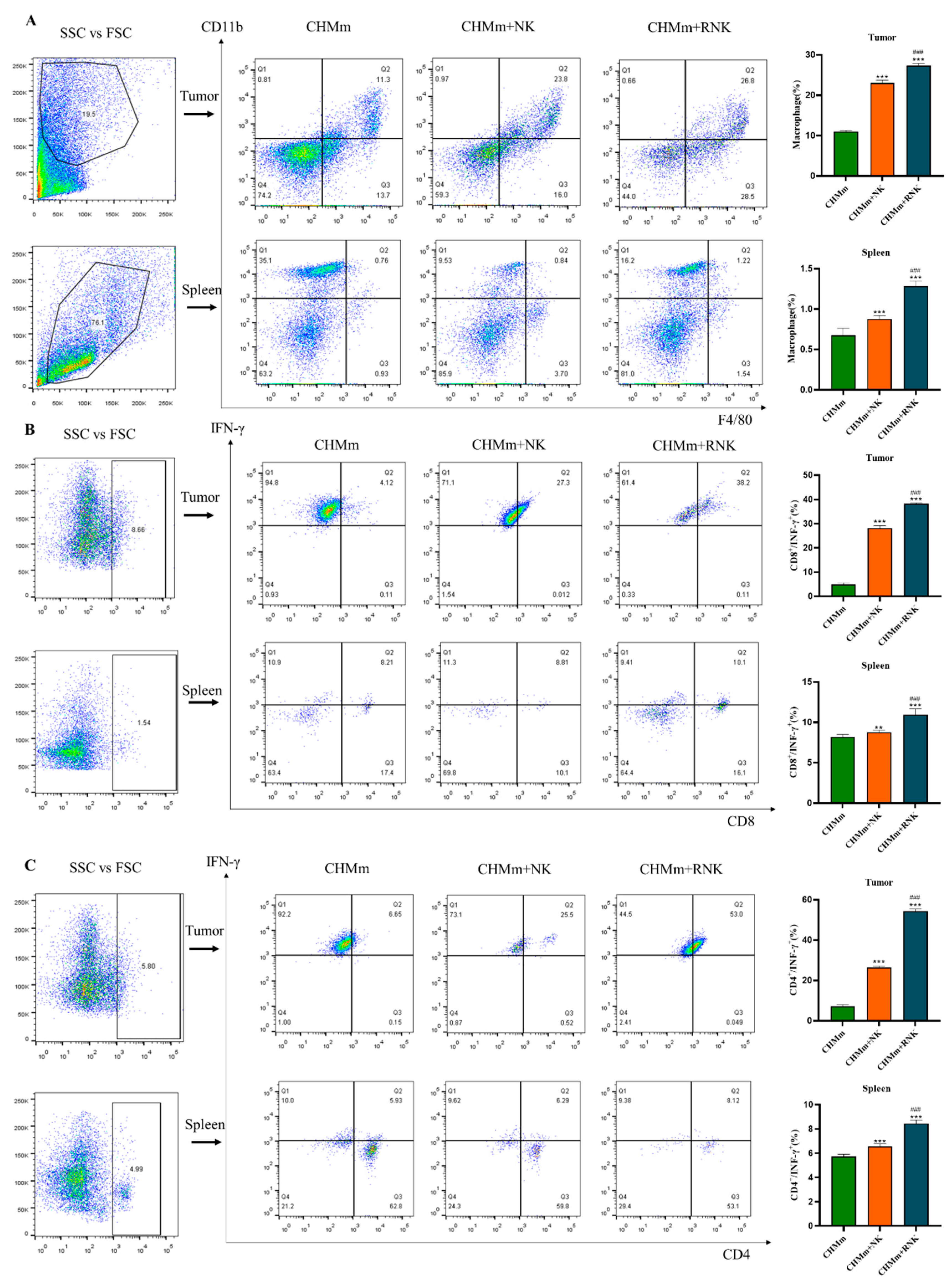 Animals 14 01636 g008