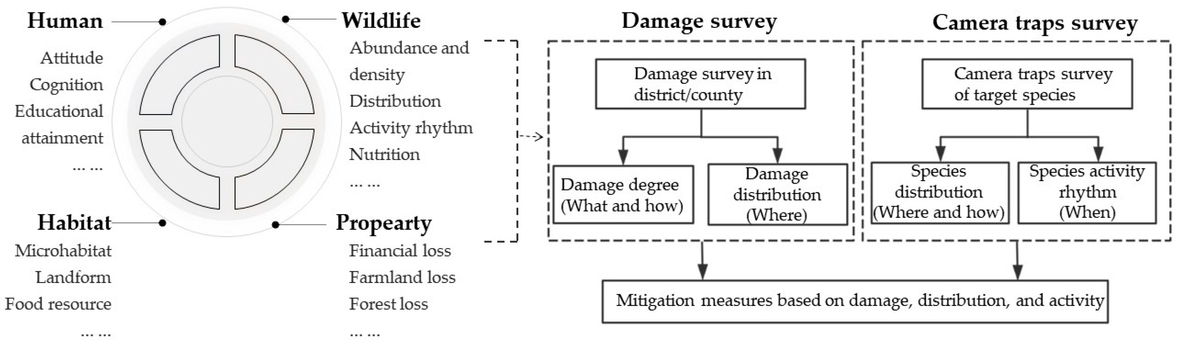 Animals 14 01639 g005