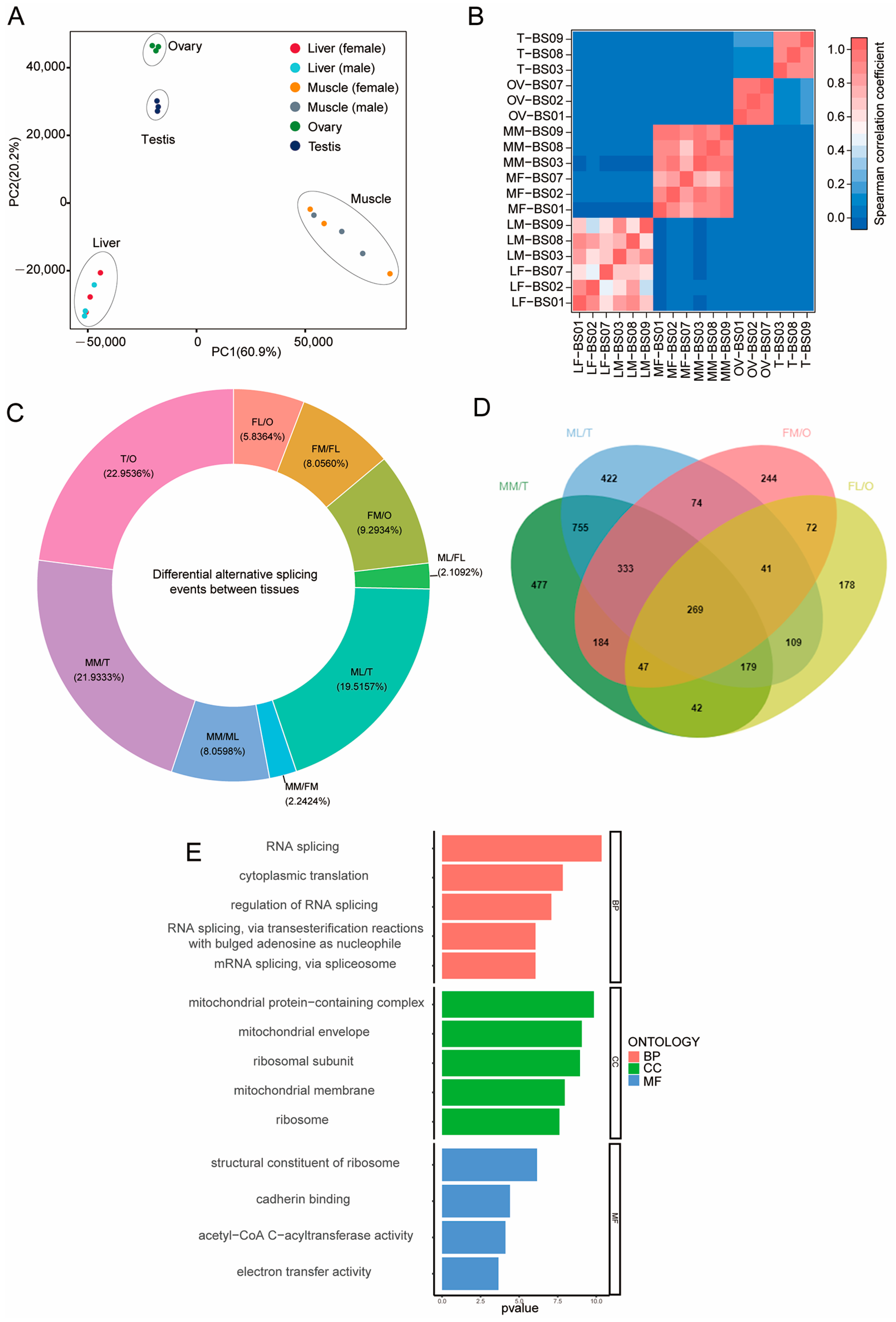 Animals 14 01646 g001