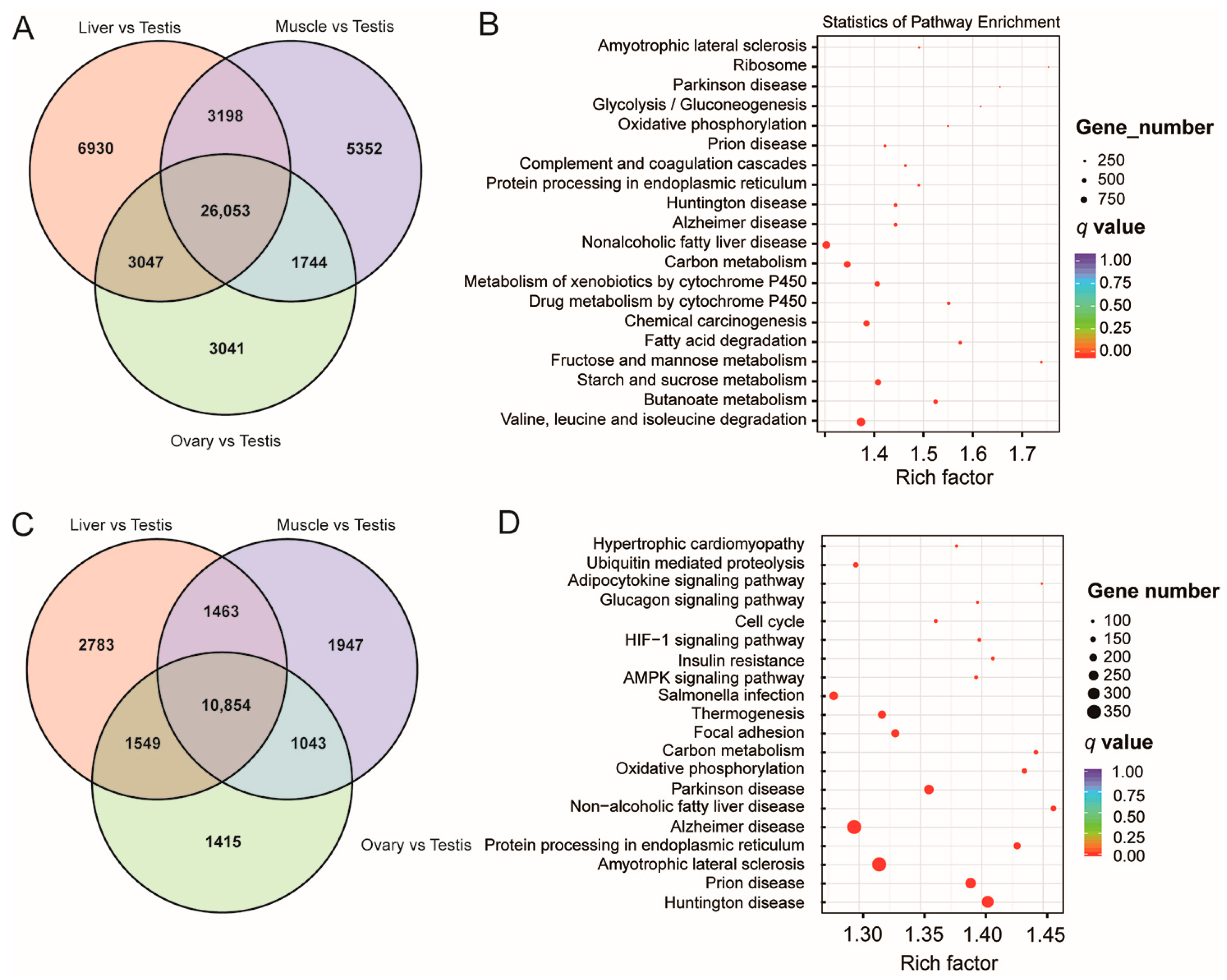 Animals 14 01646 g003