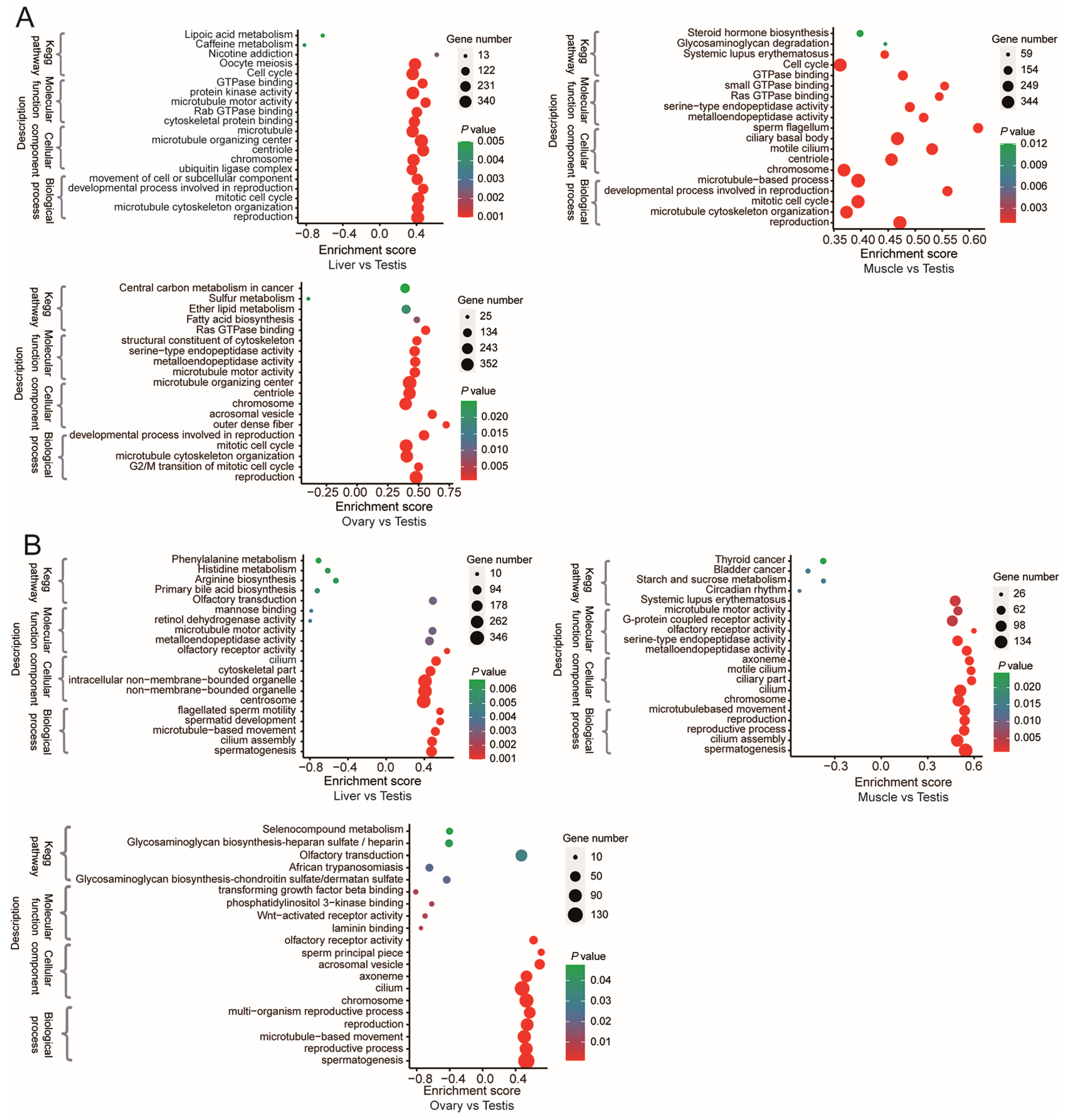 Animals 14 01646 g004