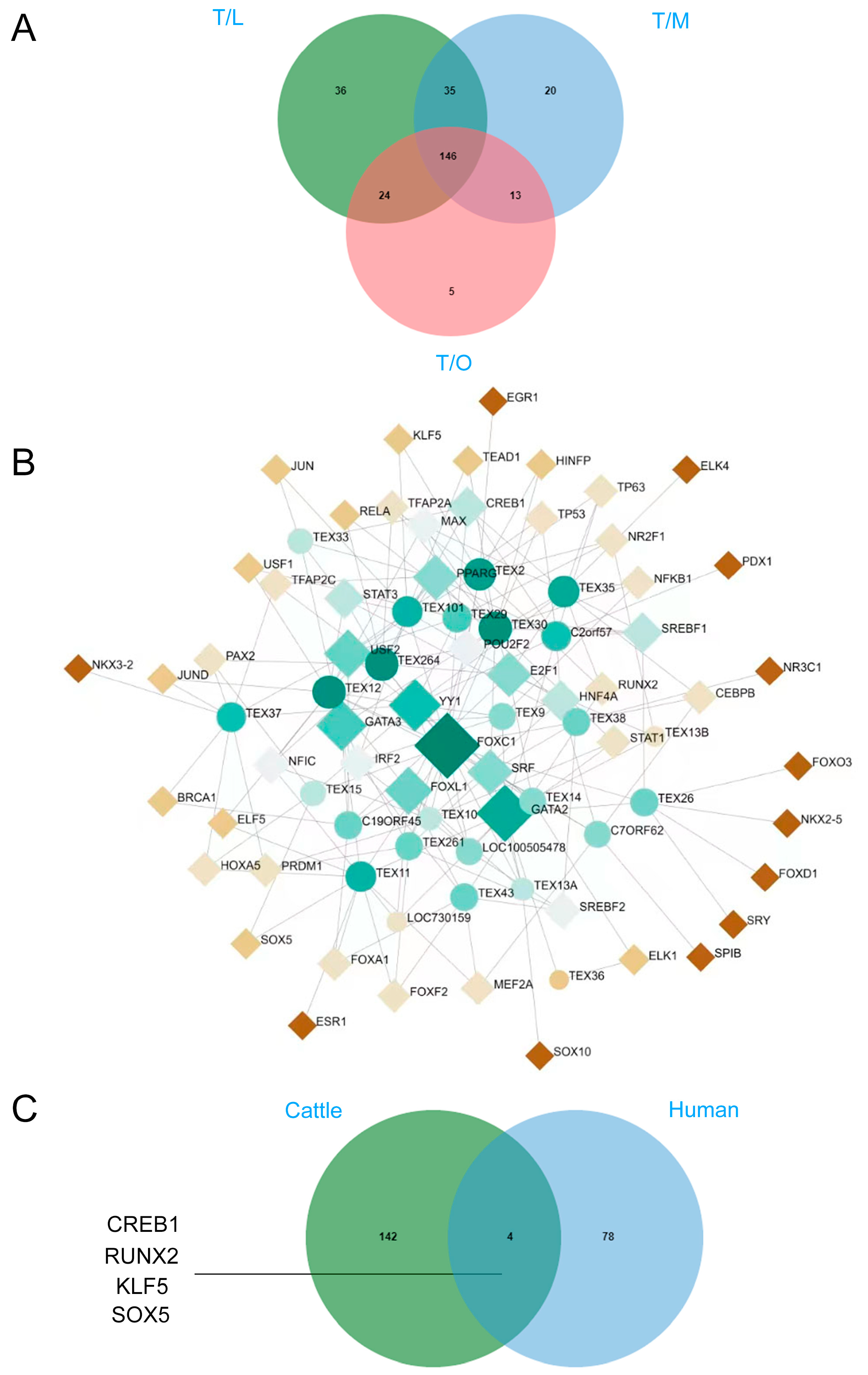 Animals 14 01646 g007