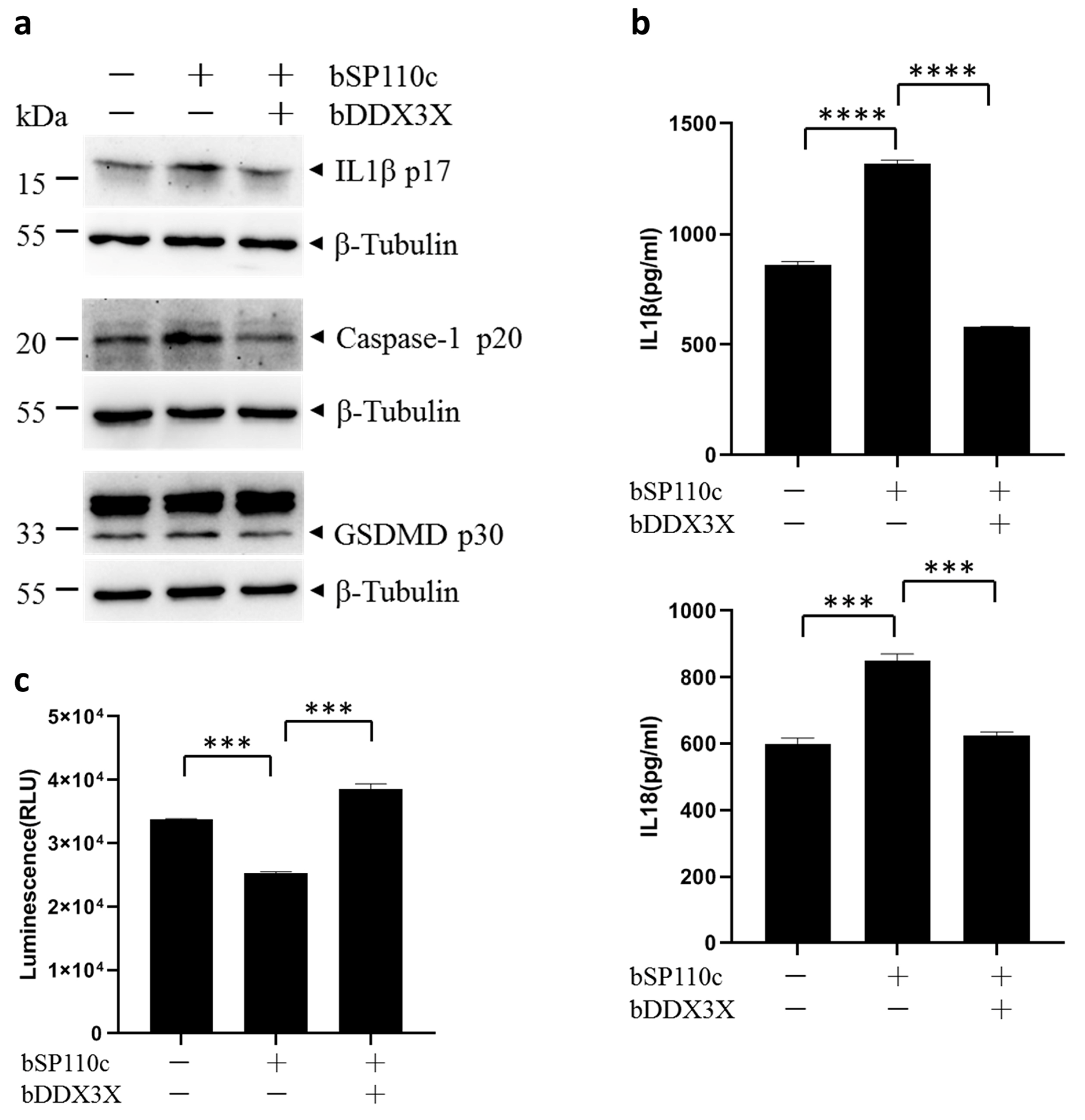 Animals 14 01650 g002