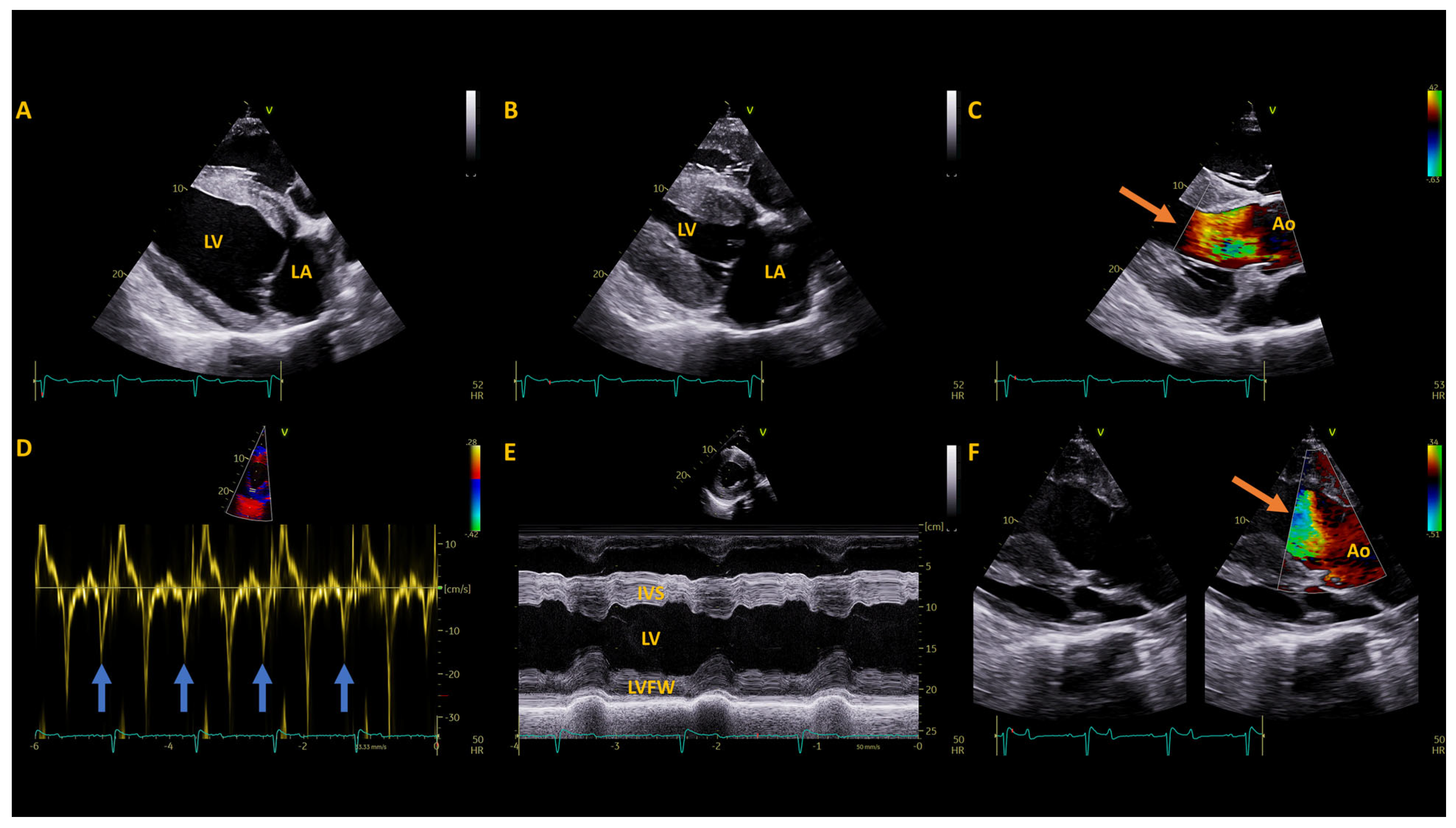 Animals 14 01660 g002