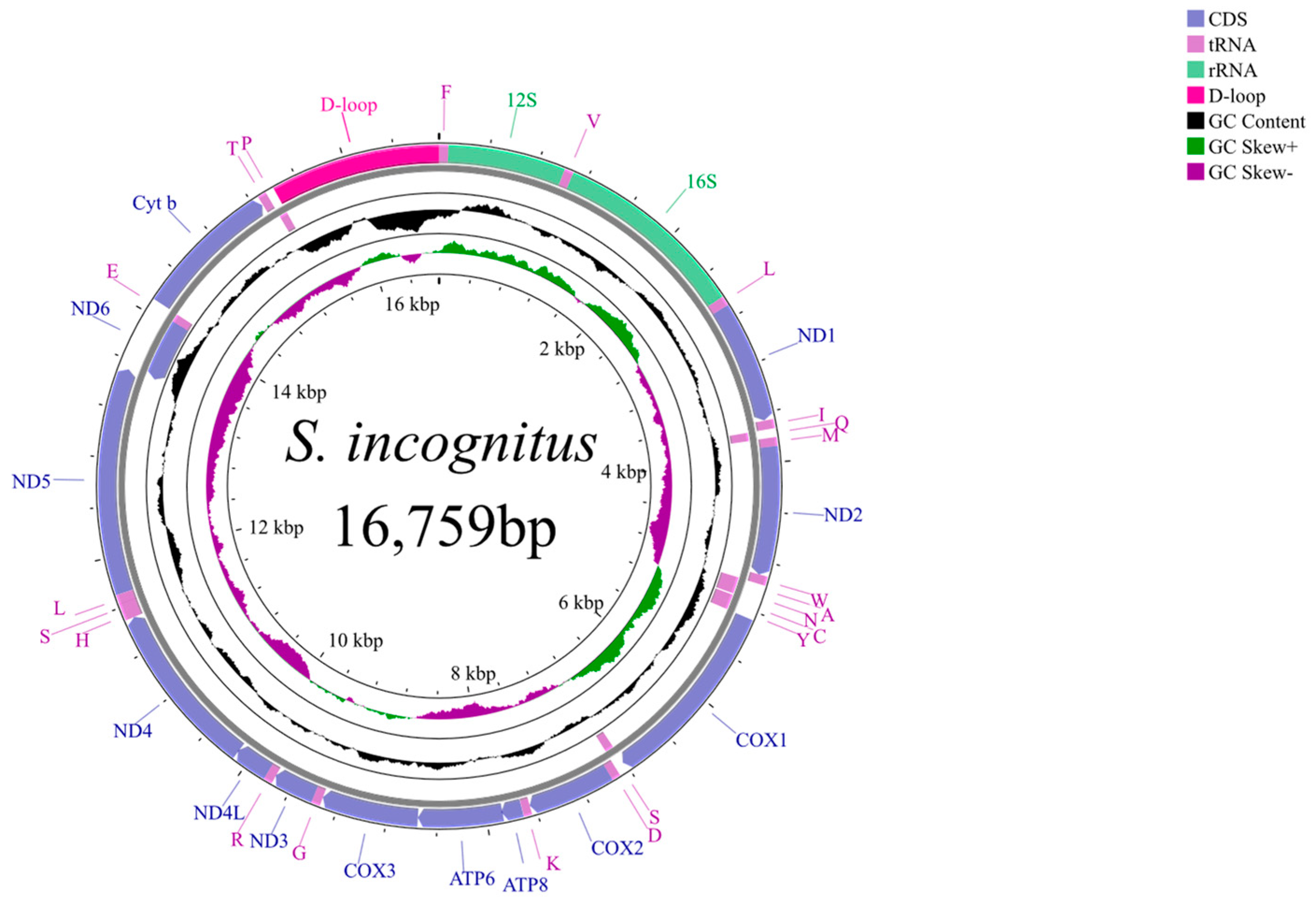 Animals 14 01671 g001