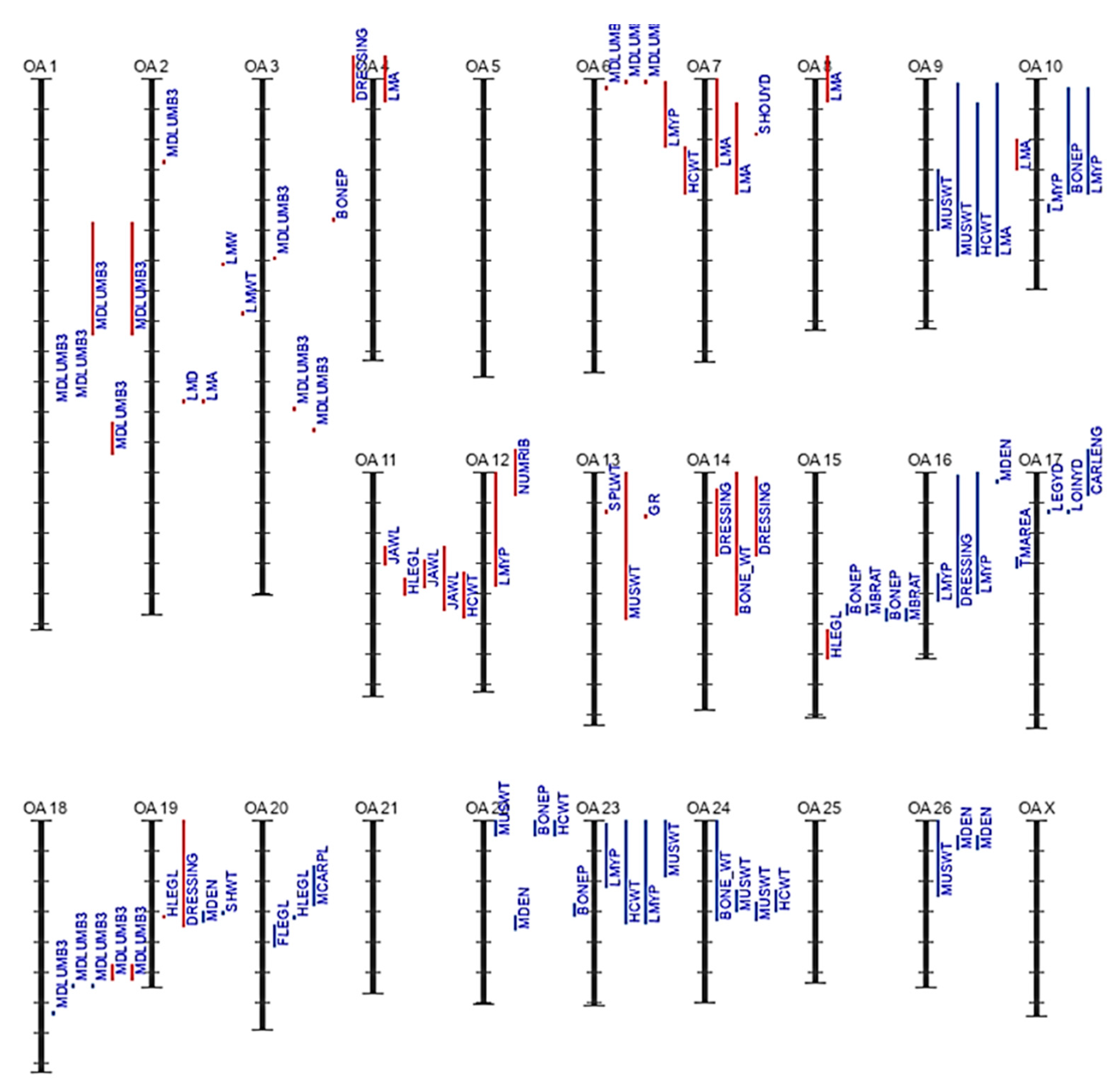 Animals 14 01679 g002