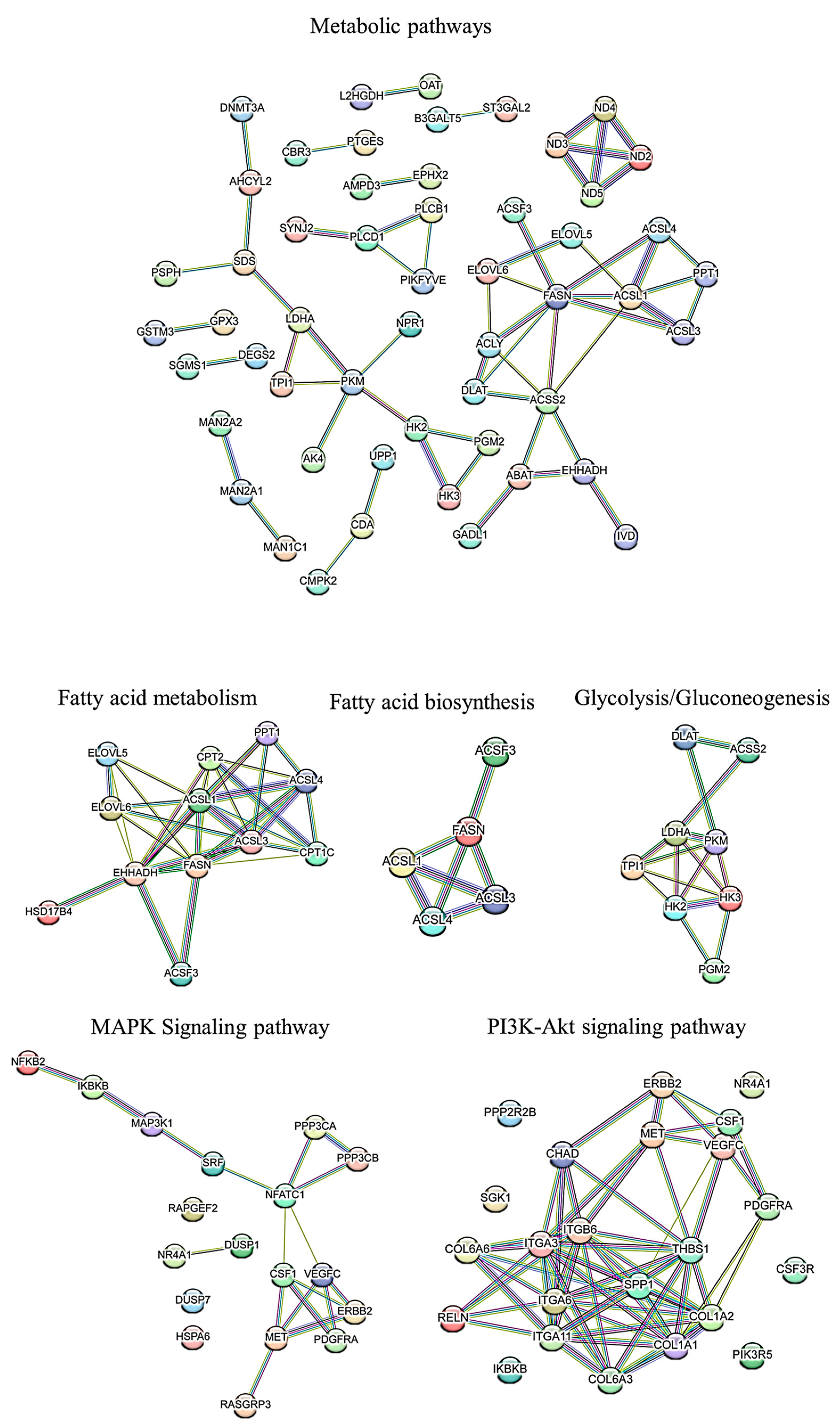 Animals 14 01679 g005
