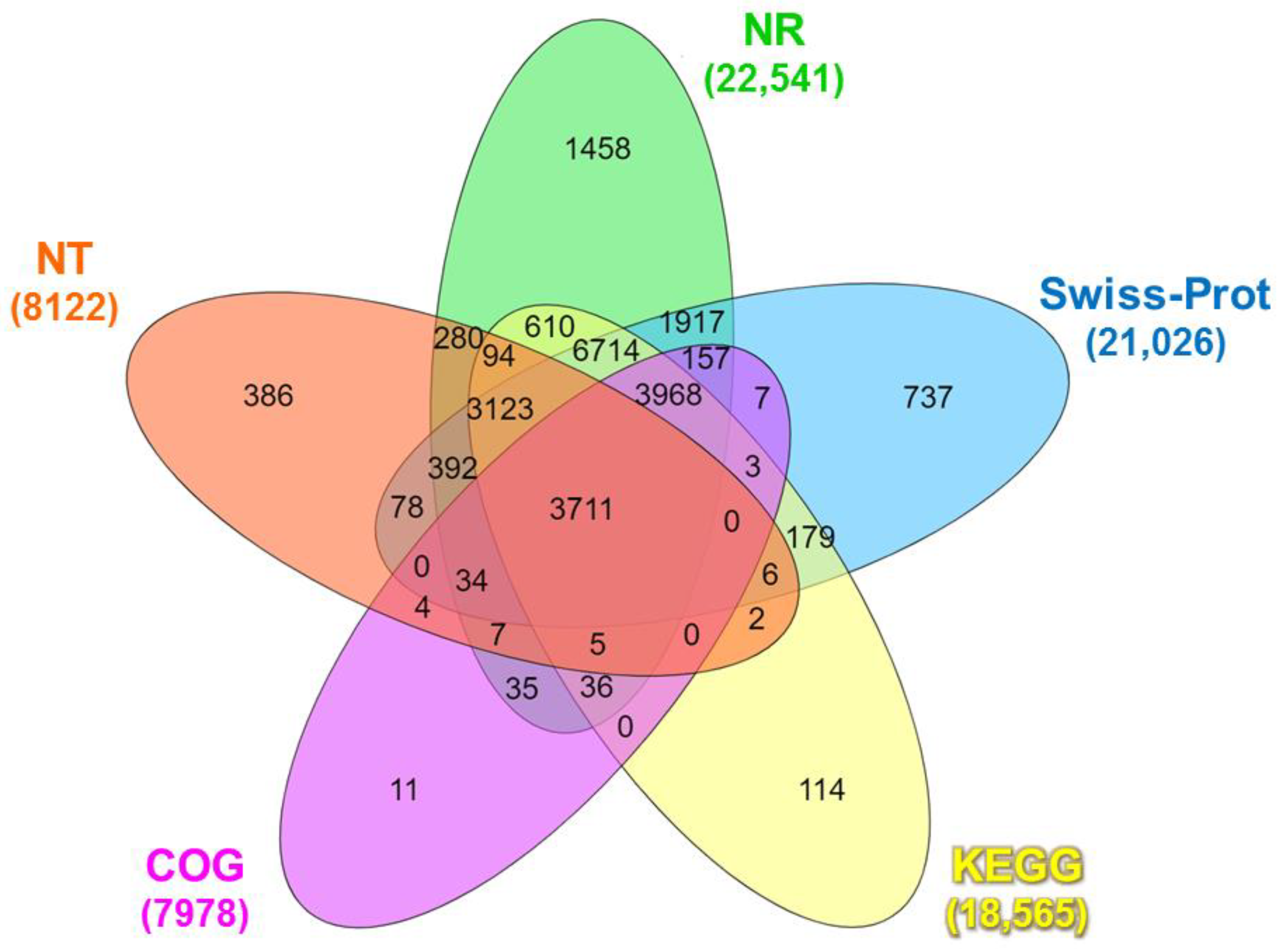 Animals 14 01685 g001