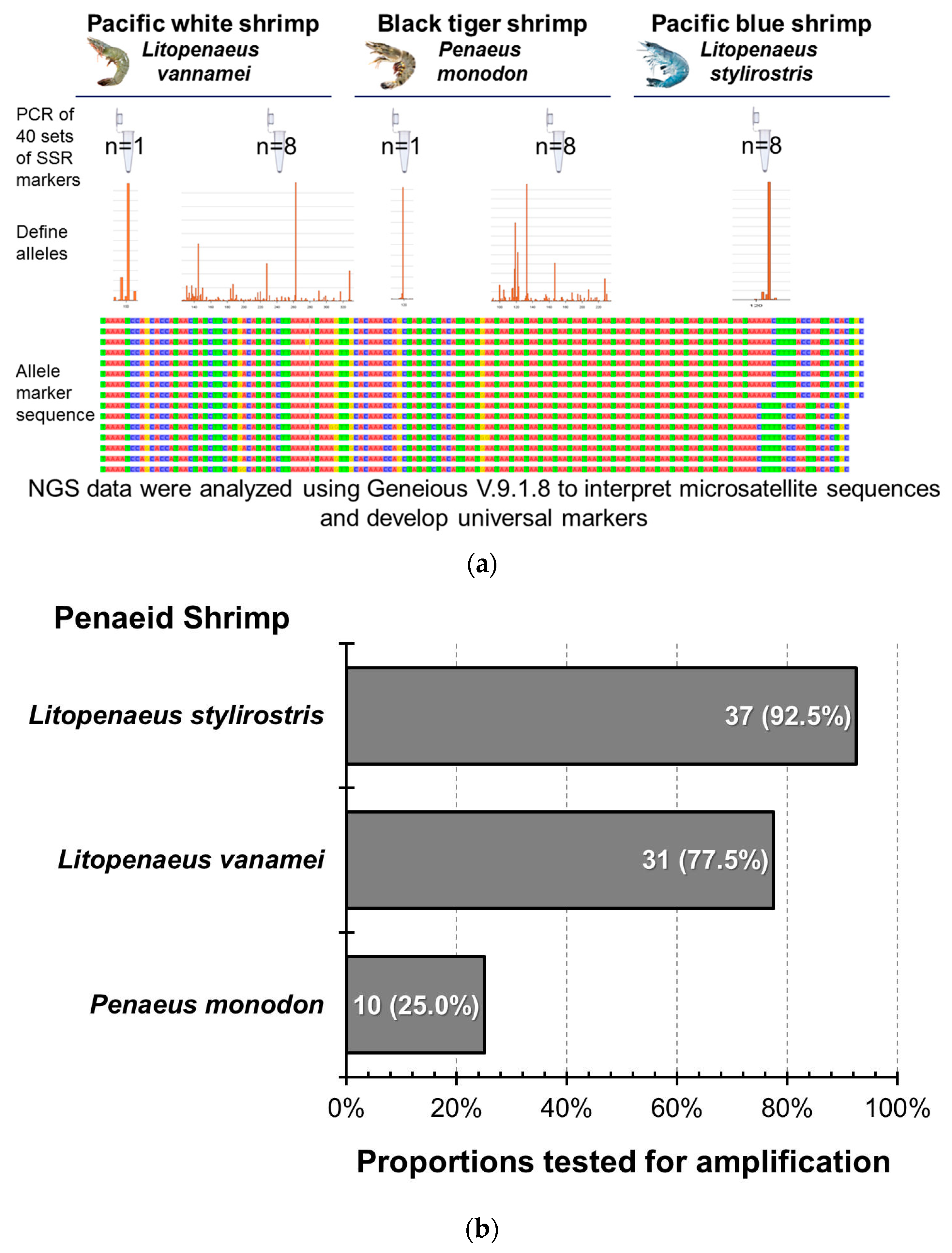 Animals 14 01685 g006