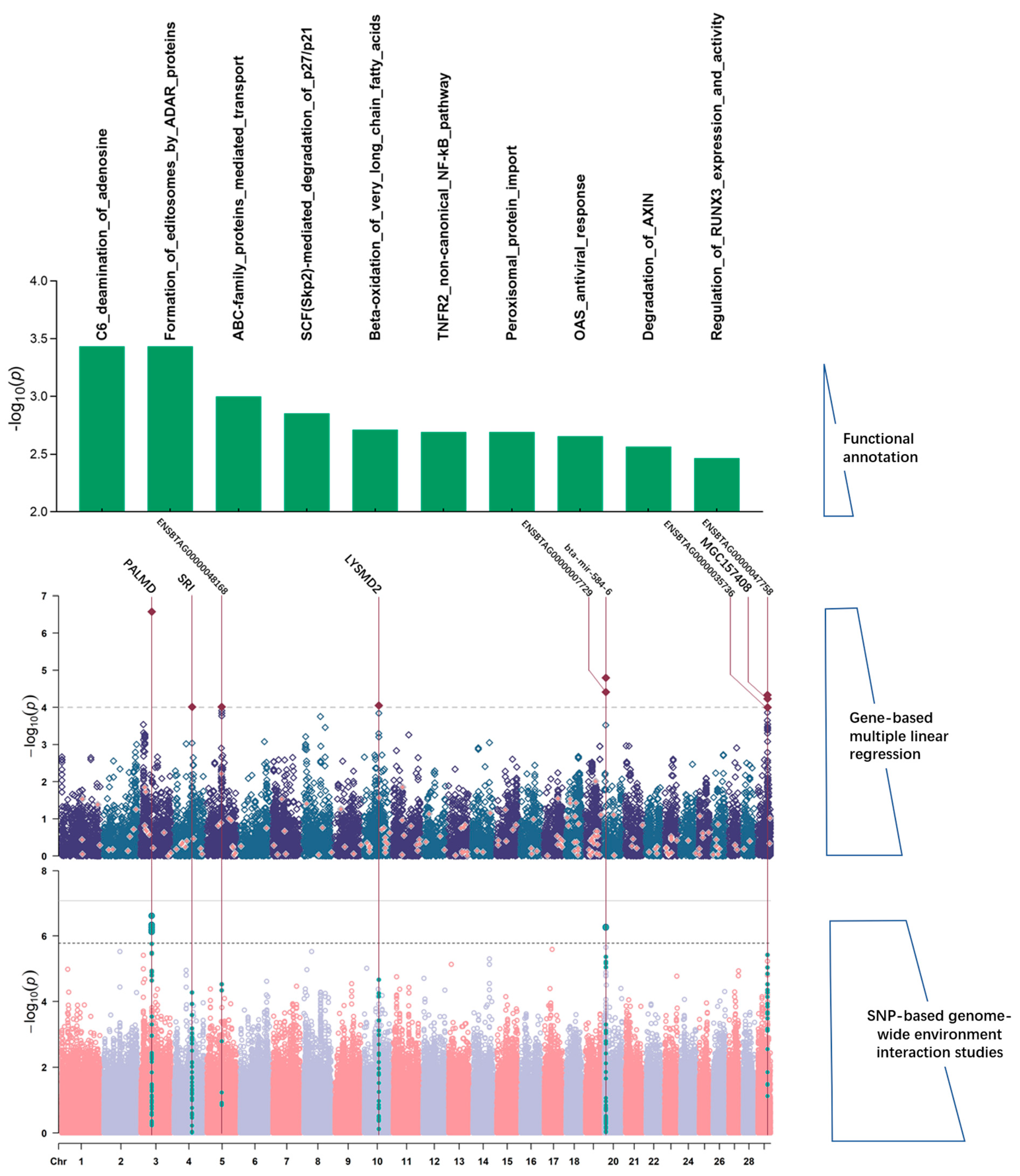 Animals 14 01695 g003