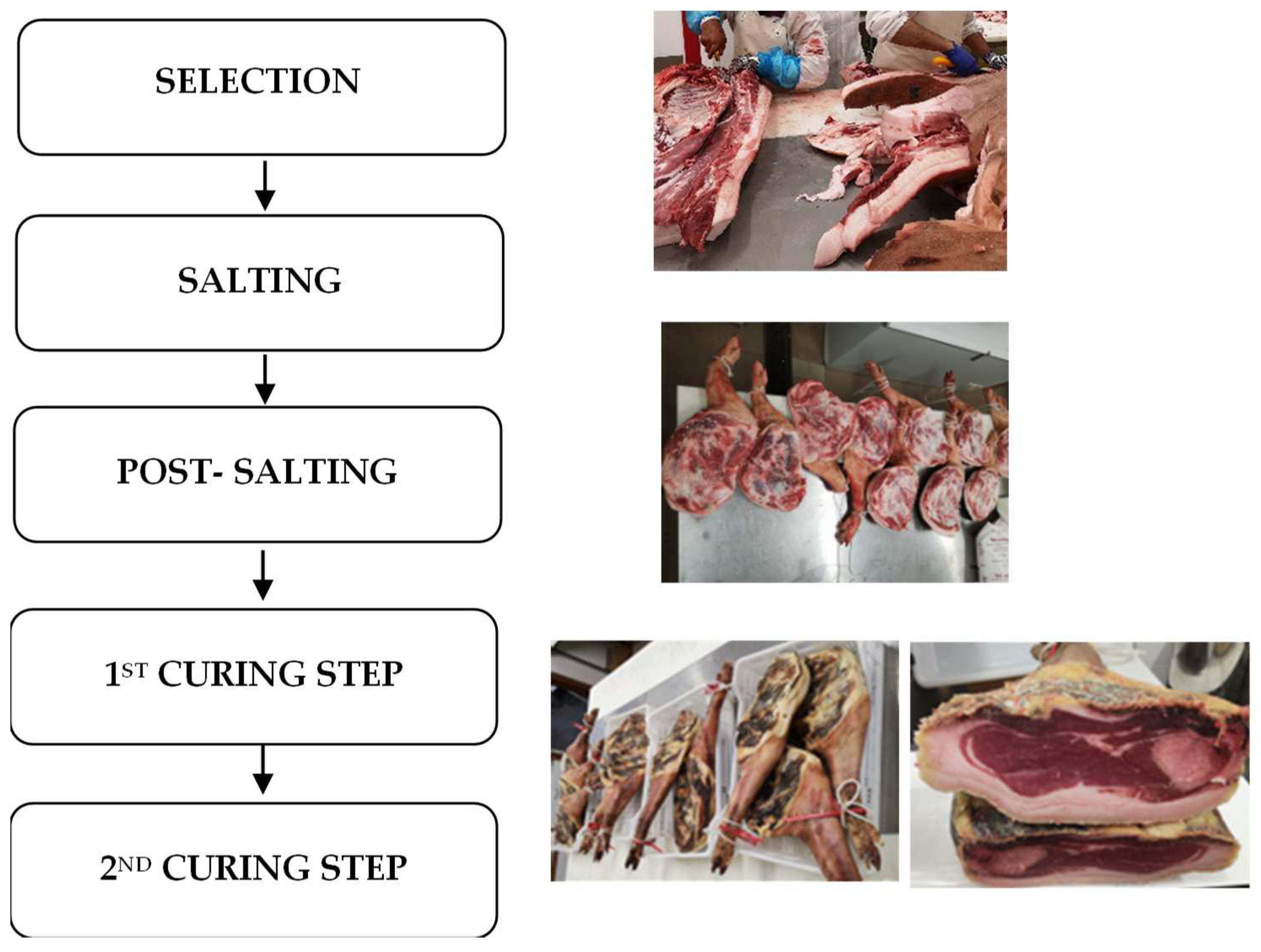 Animals 14 01697 g001