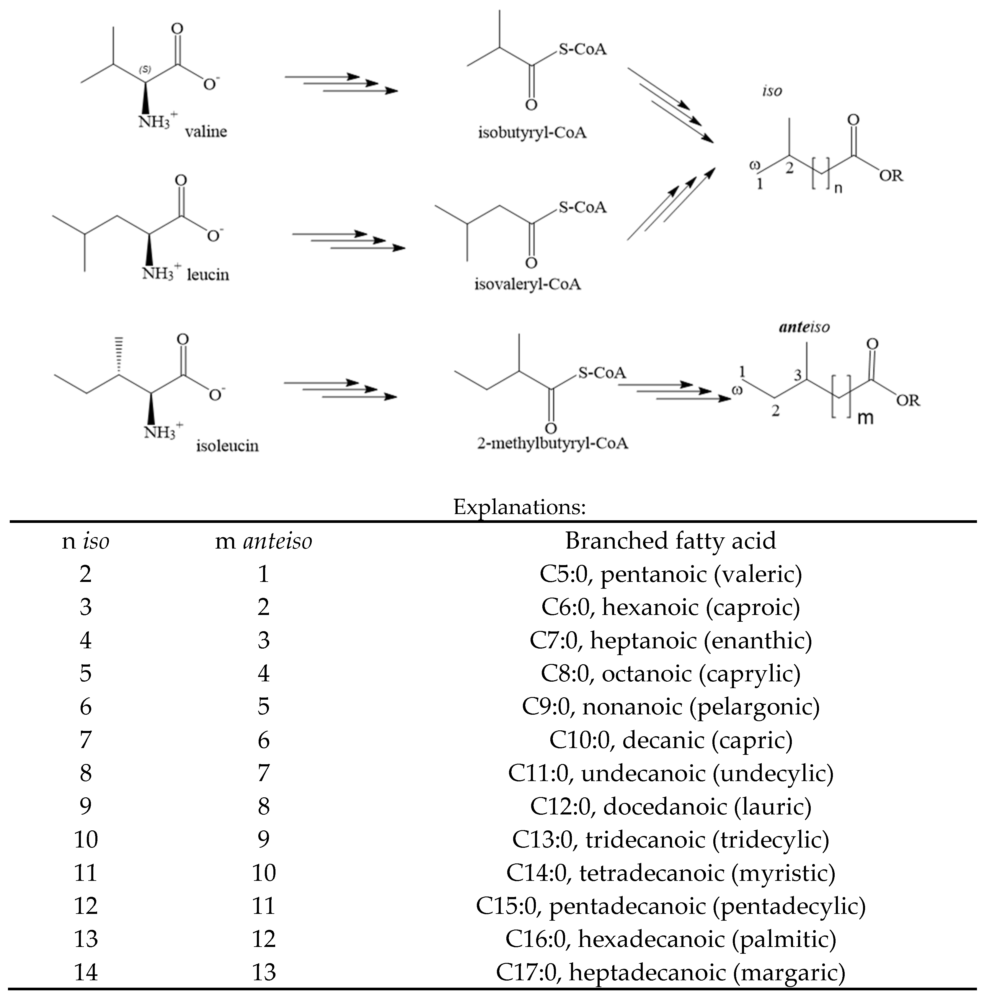 Animals 14 01706 g001