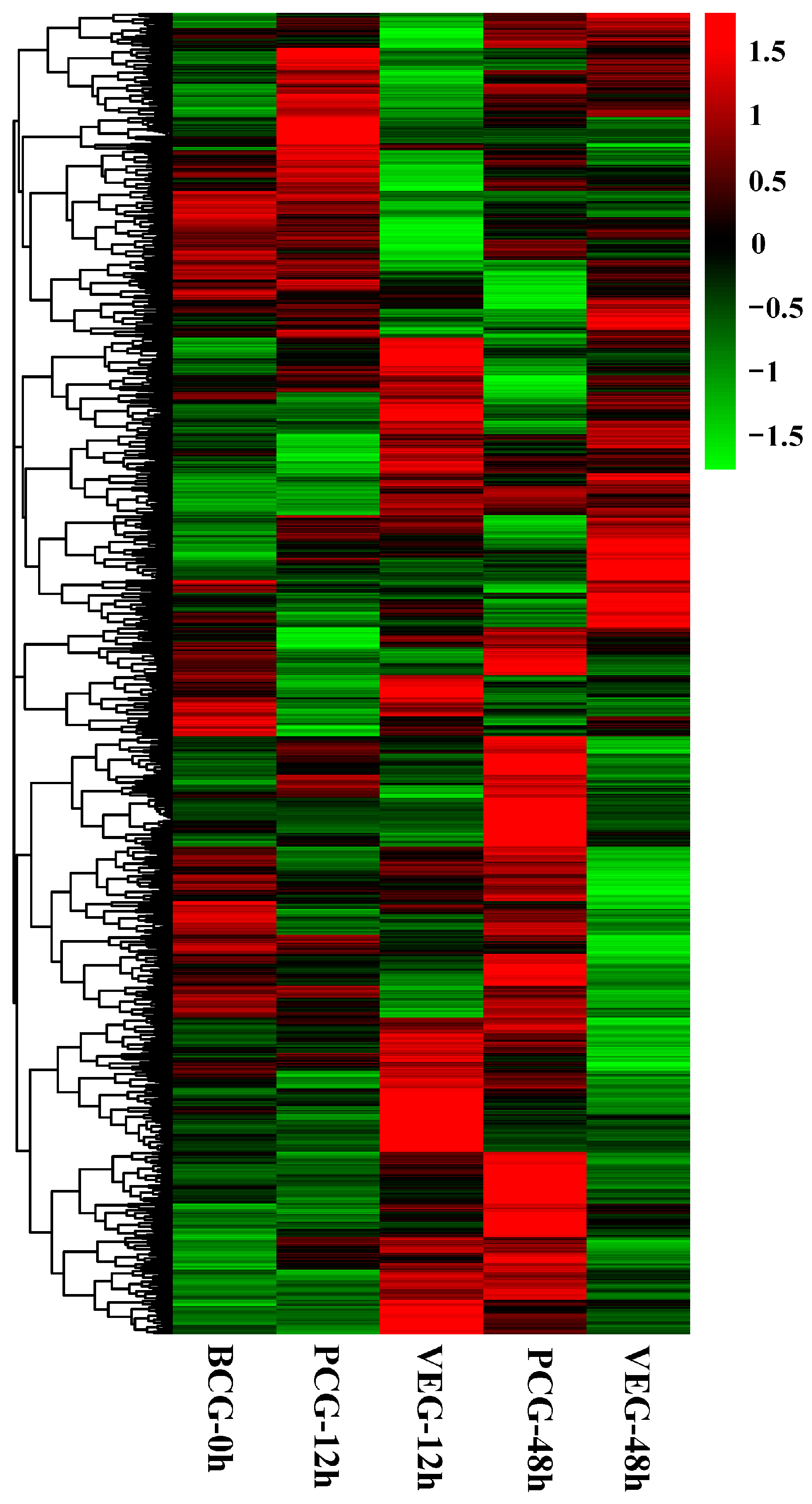 Animals 14 01707 g003