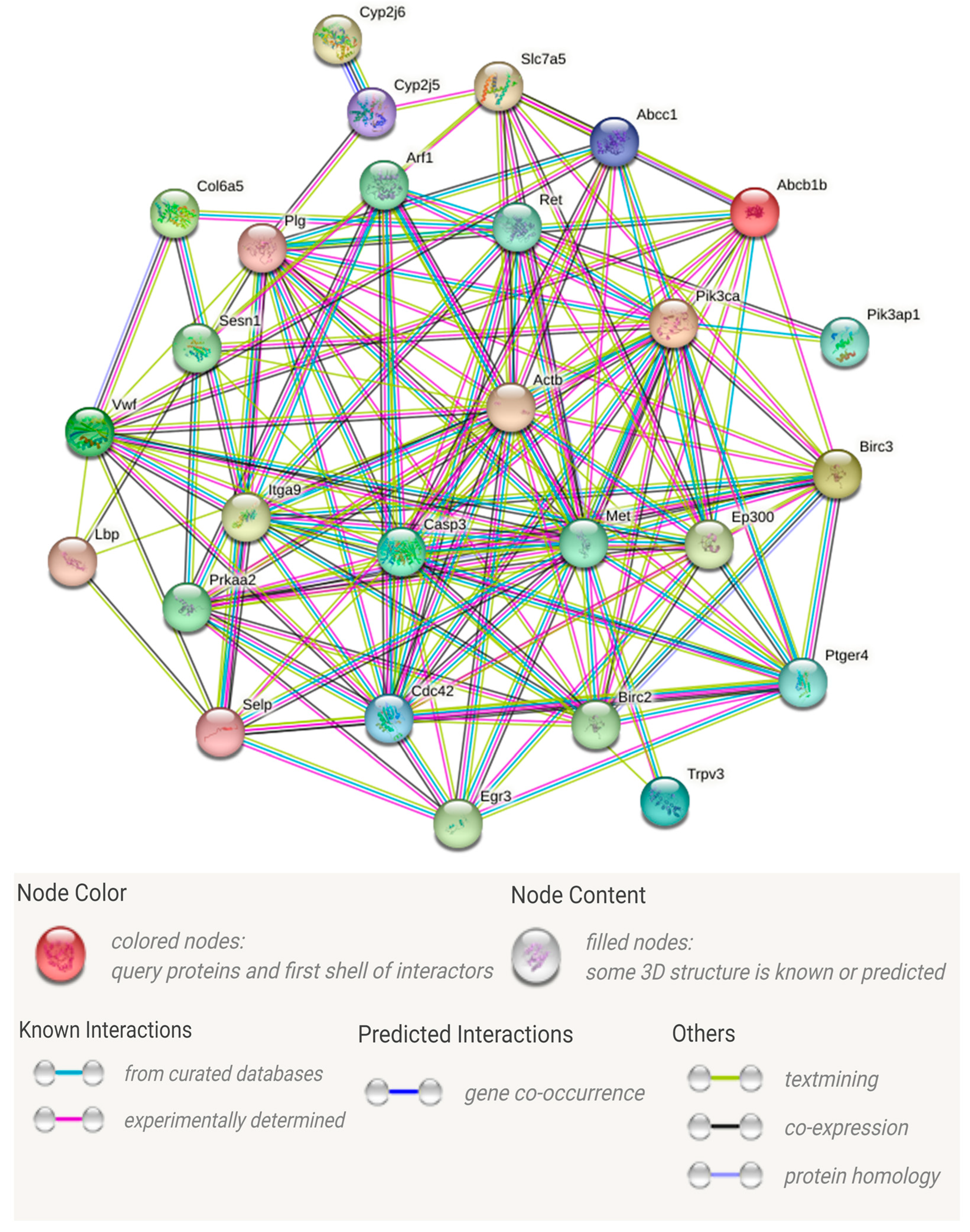 Animals 14 01707 g005