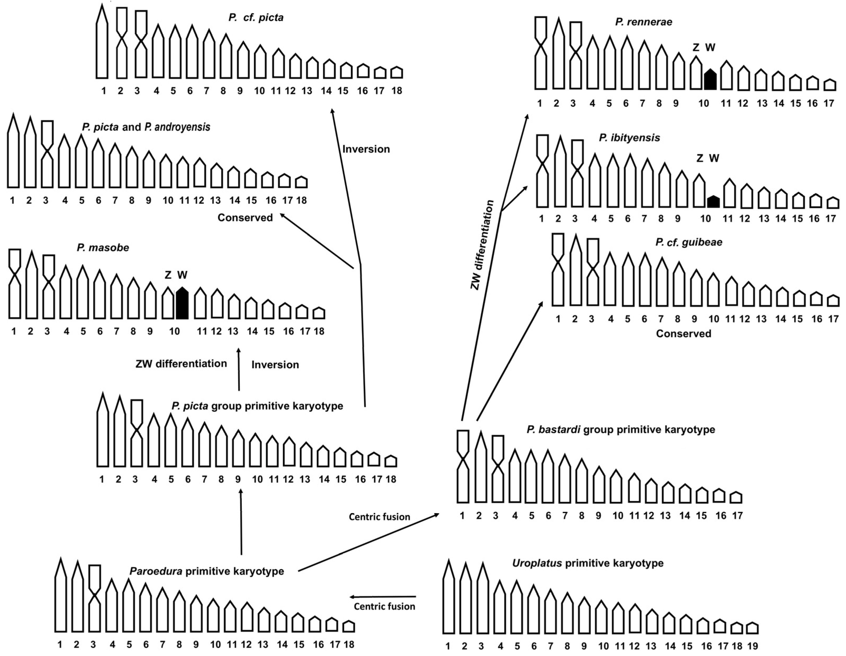 Animals 14 01708 g004