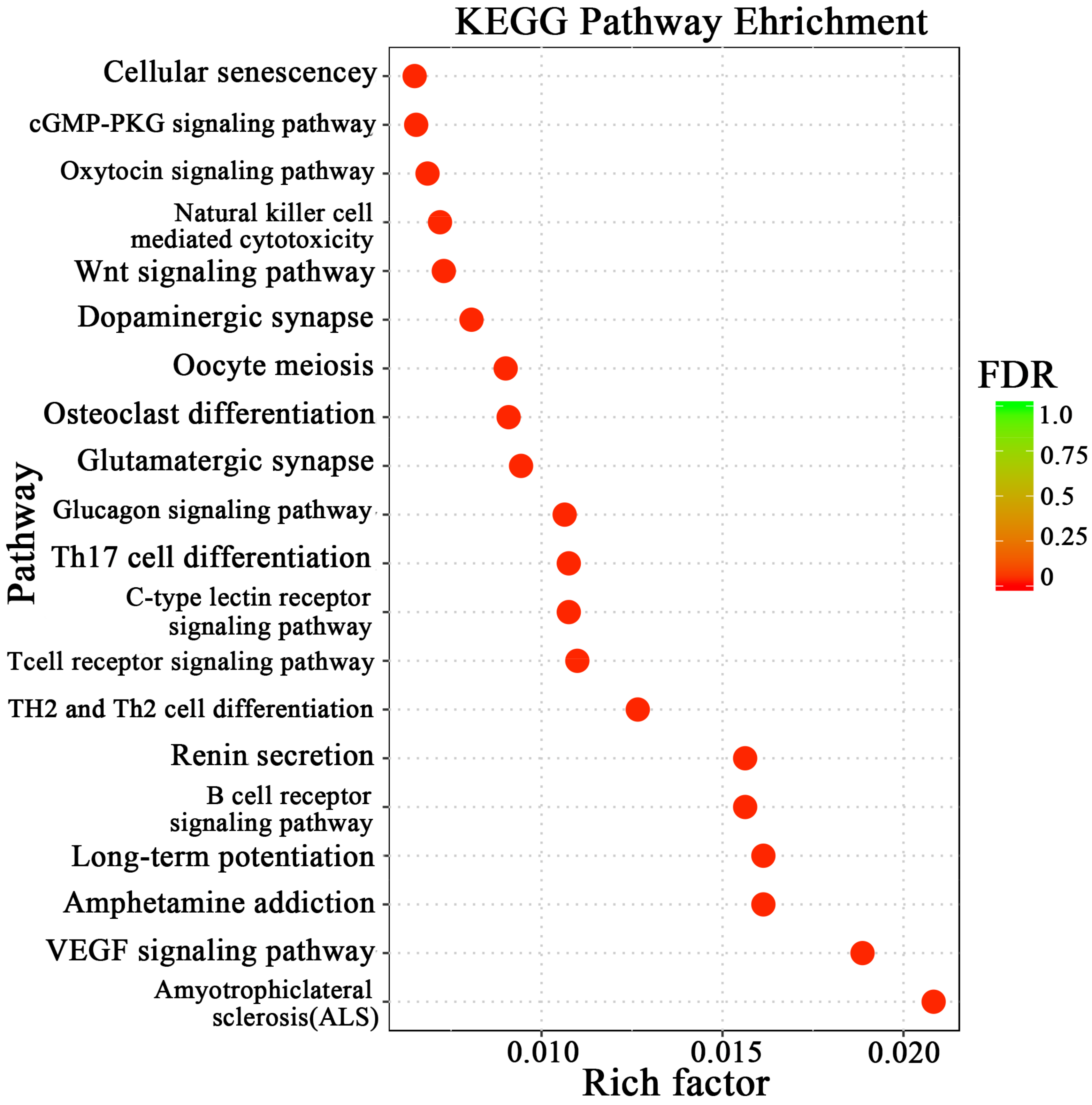 Animals 14 01715 g004
