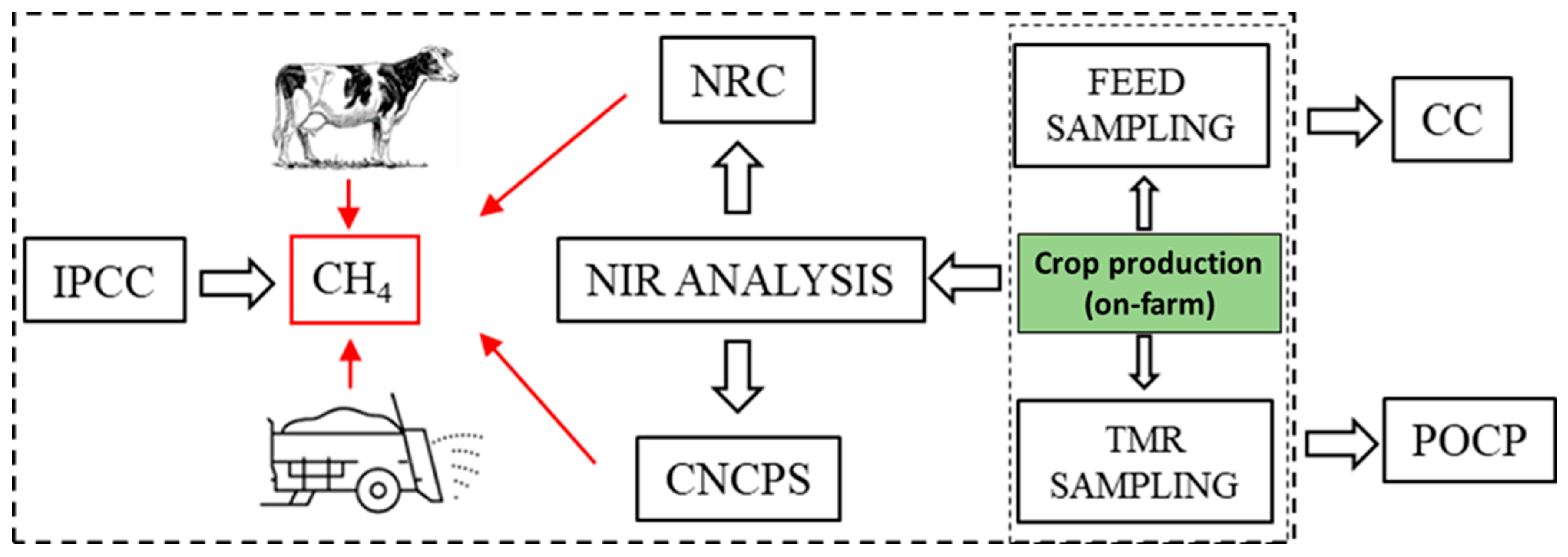 Animals 14 01725 g001