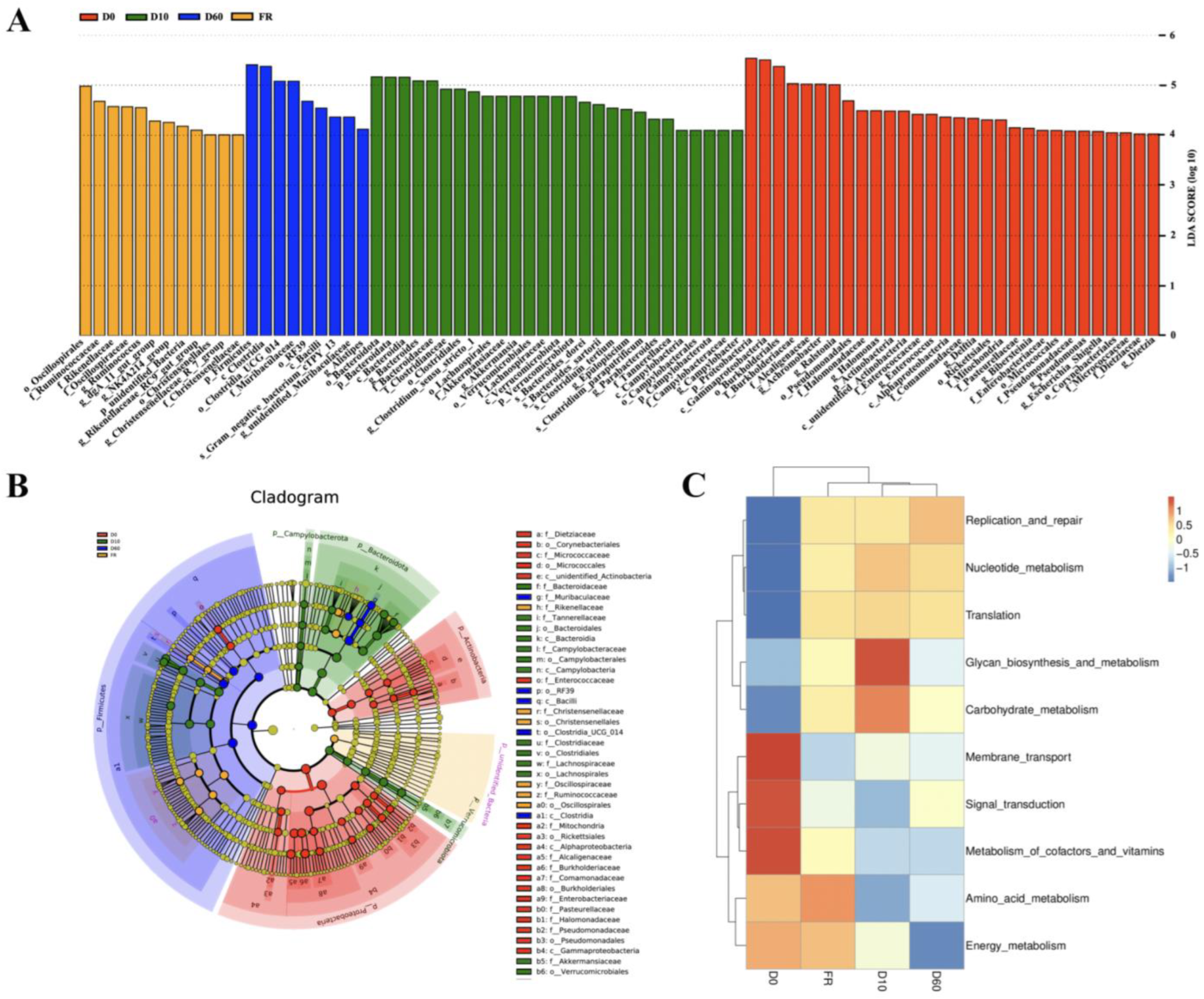 Animals 14 01741 g003