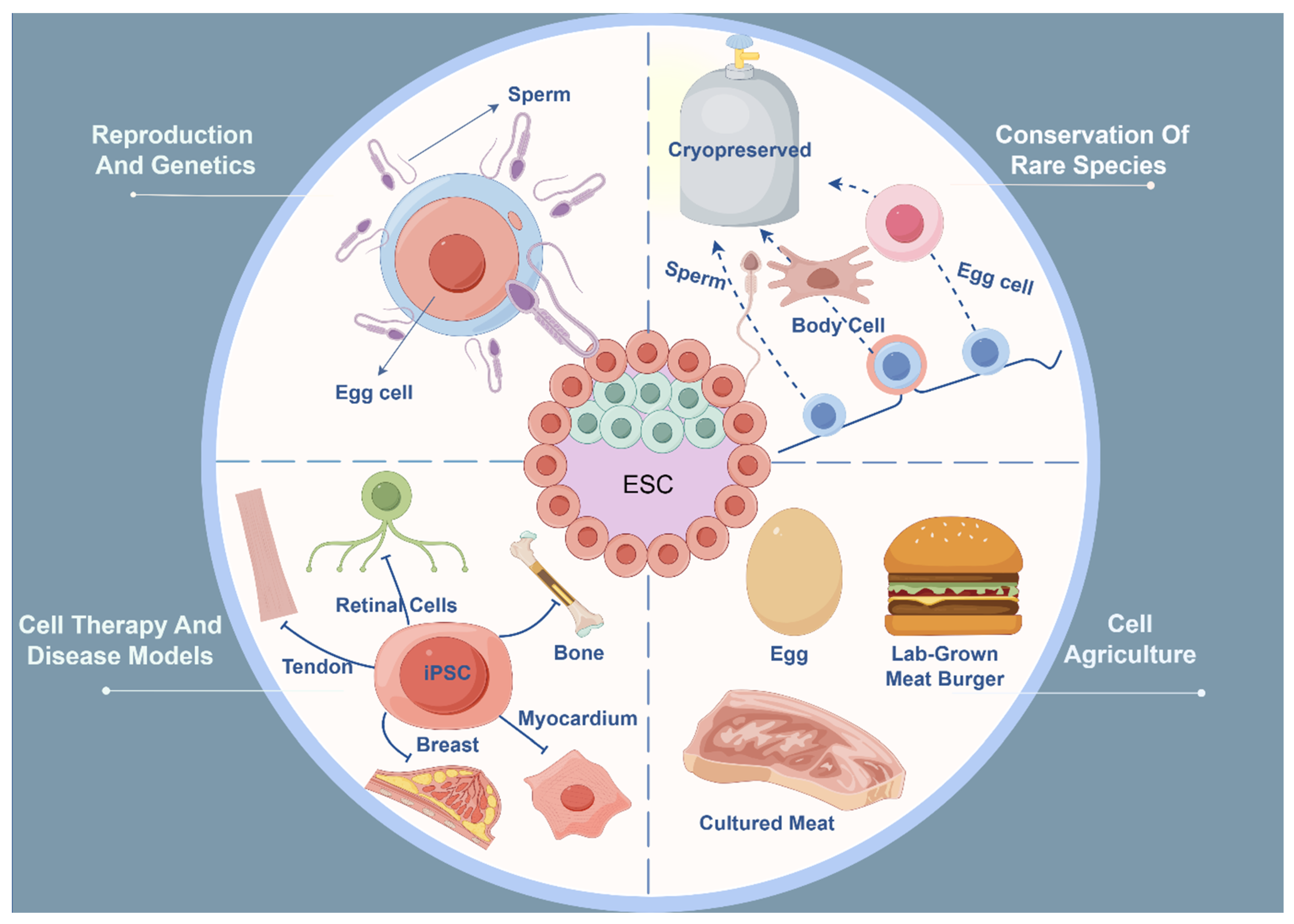 Animals 14 01742 g002