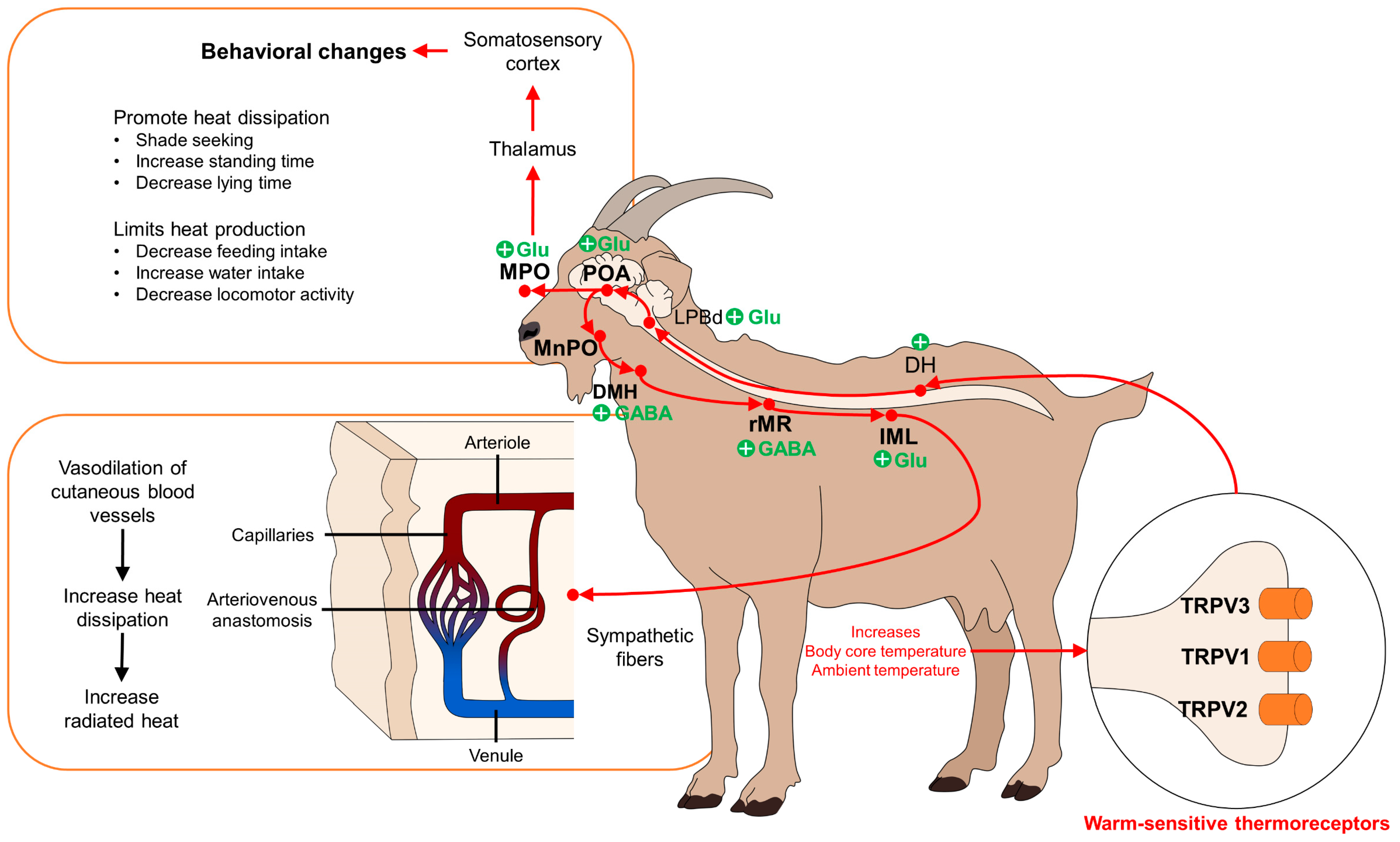 Animals 14 01745 g001