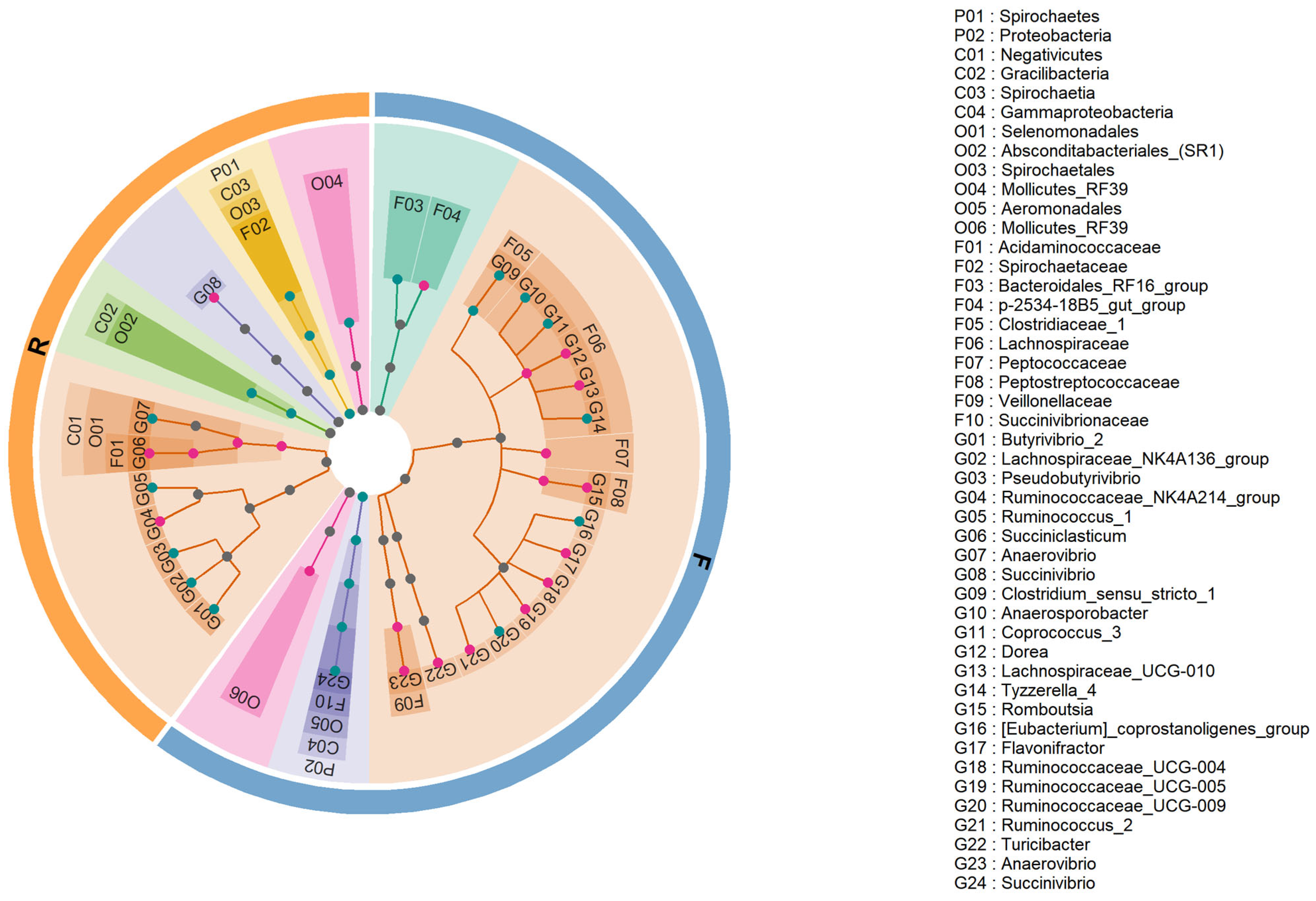 Animals 14 01748 g003