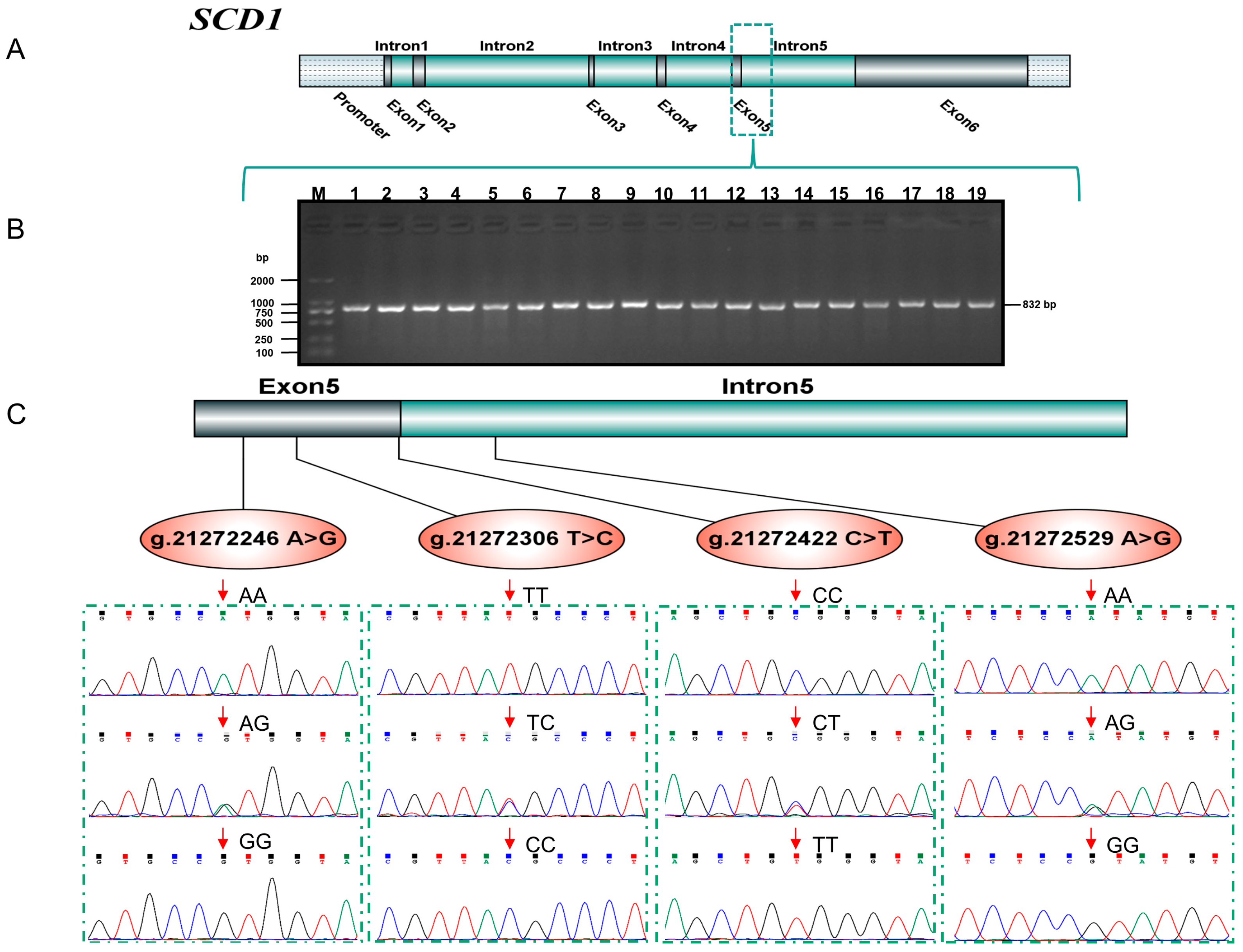 Animals 14 01759 g001