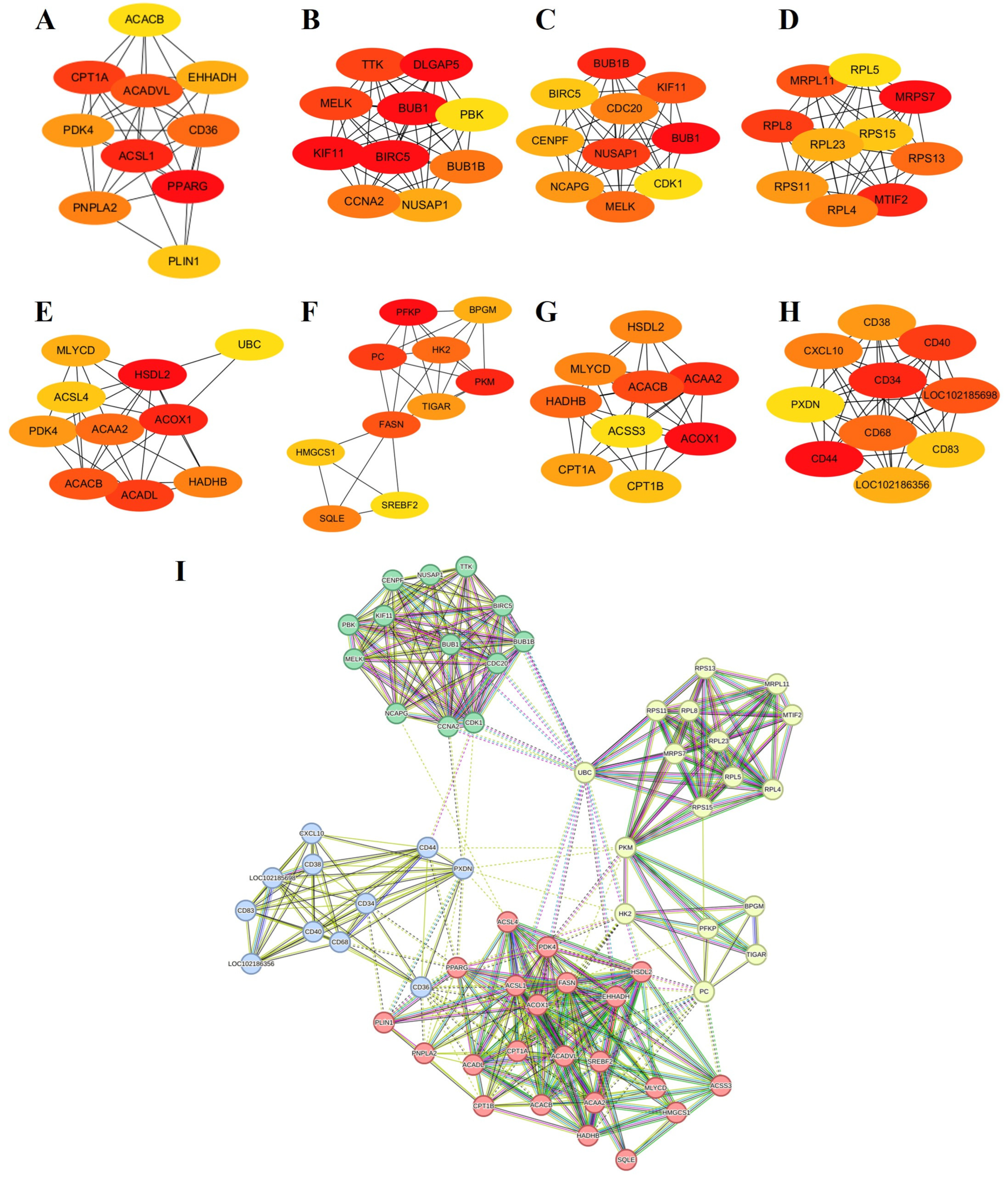 Animals 14 01770 g005