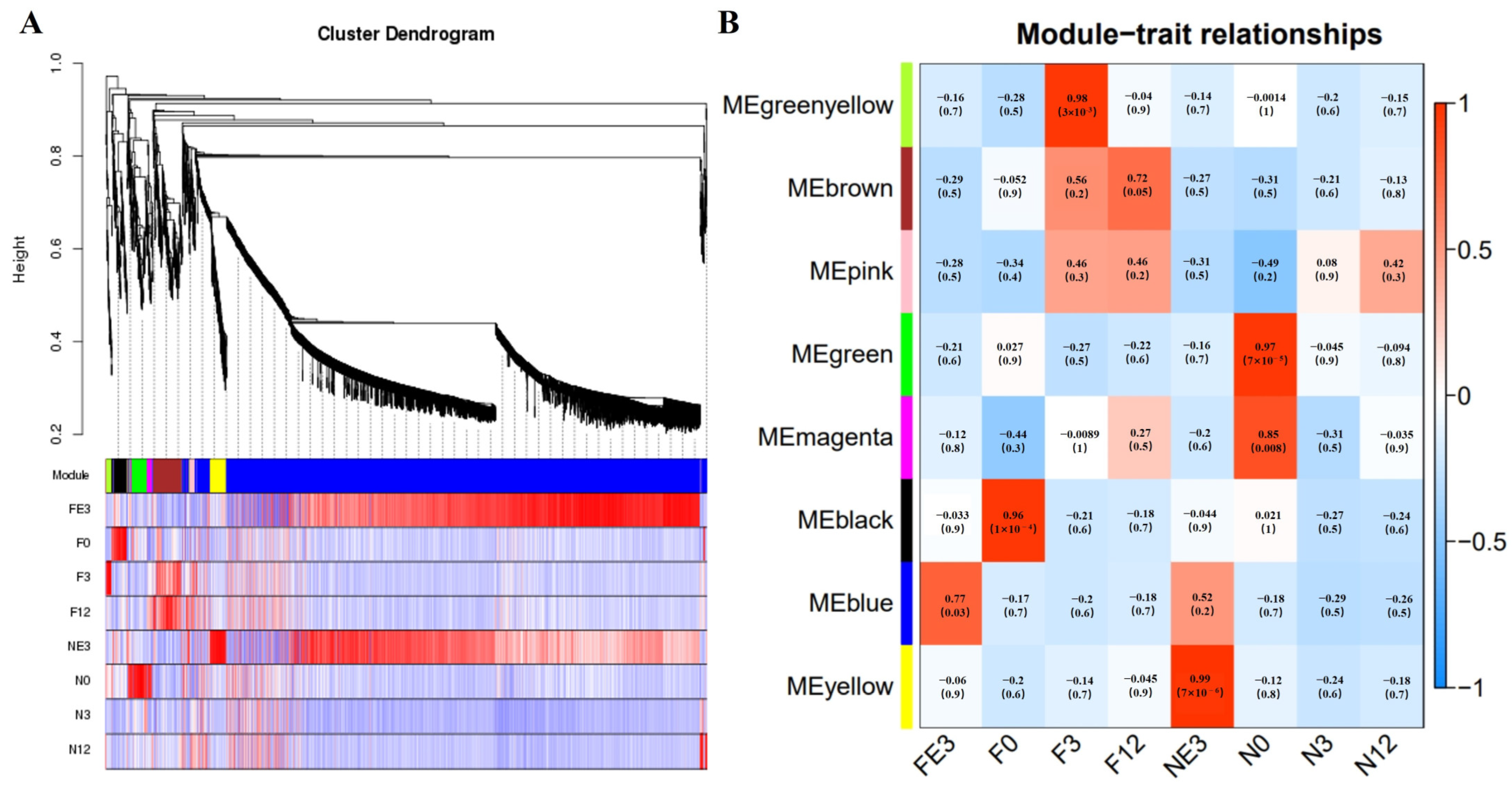Animals 14 01770 g006