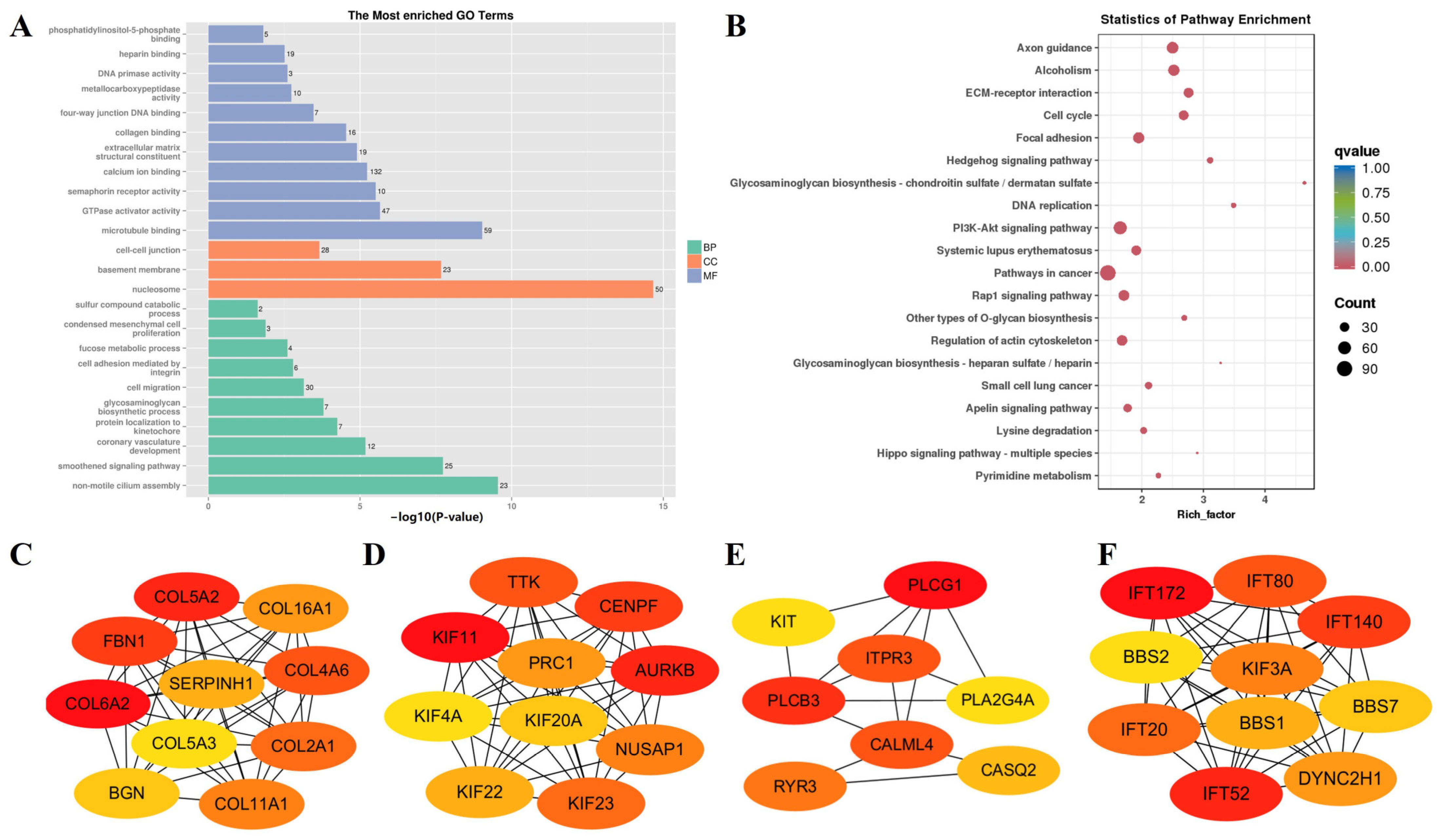 Animals 14 01770 g007