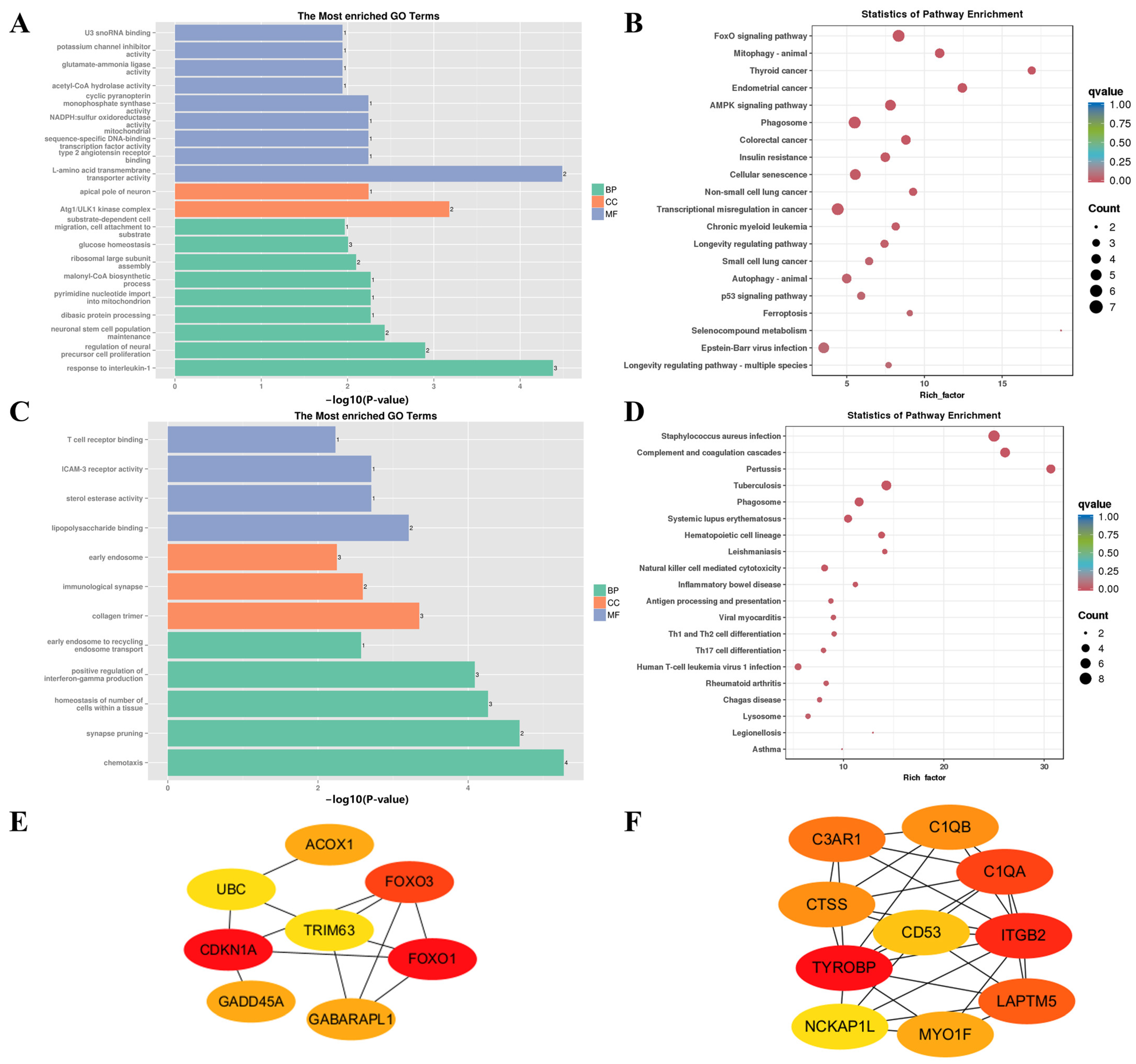 Animals 14 01770 g010