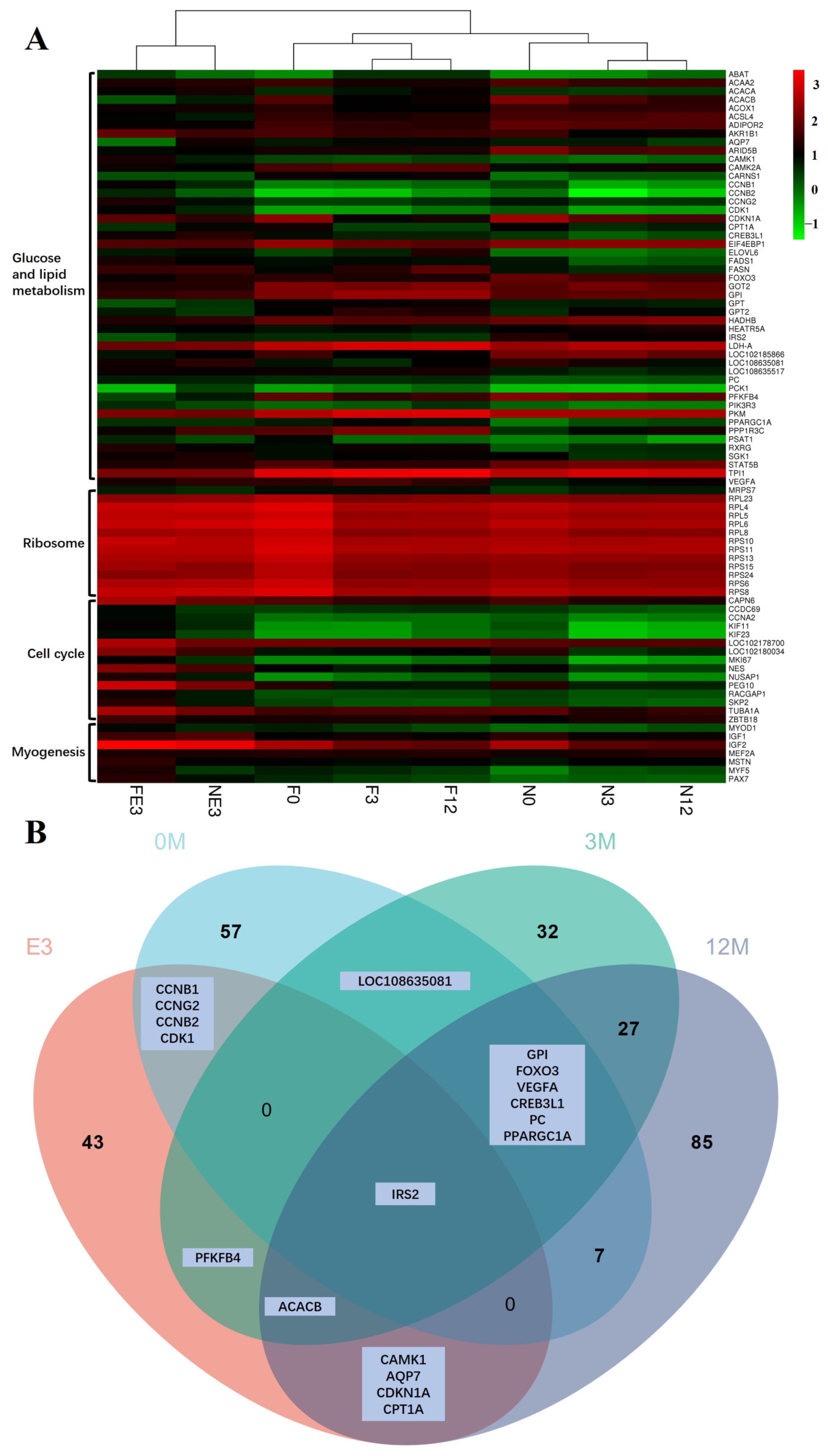 Animals 14 01770 g015