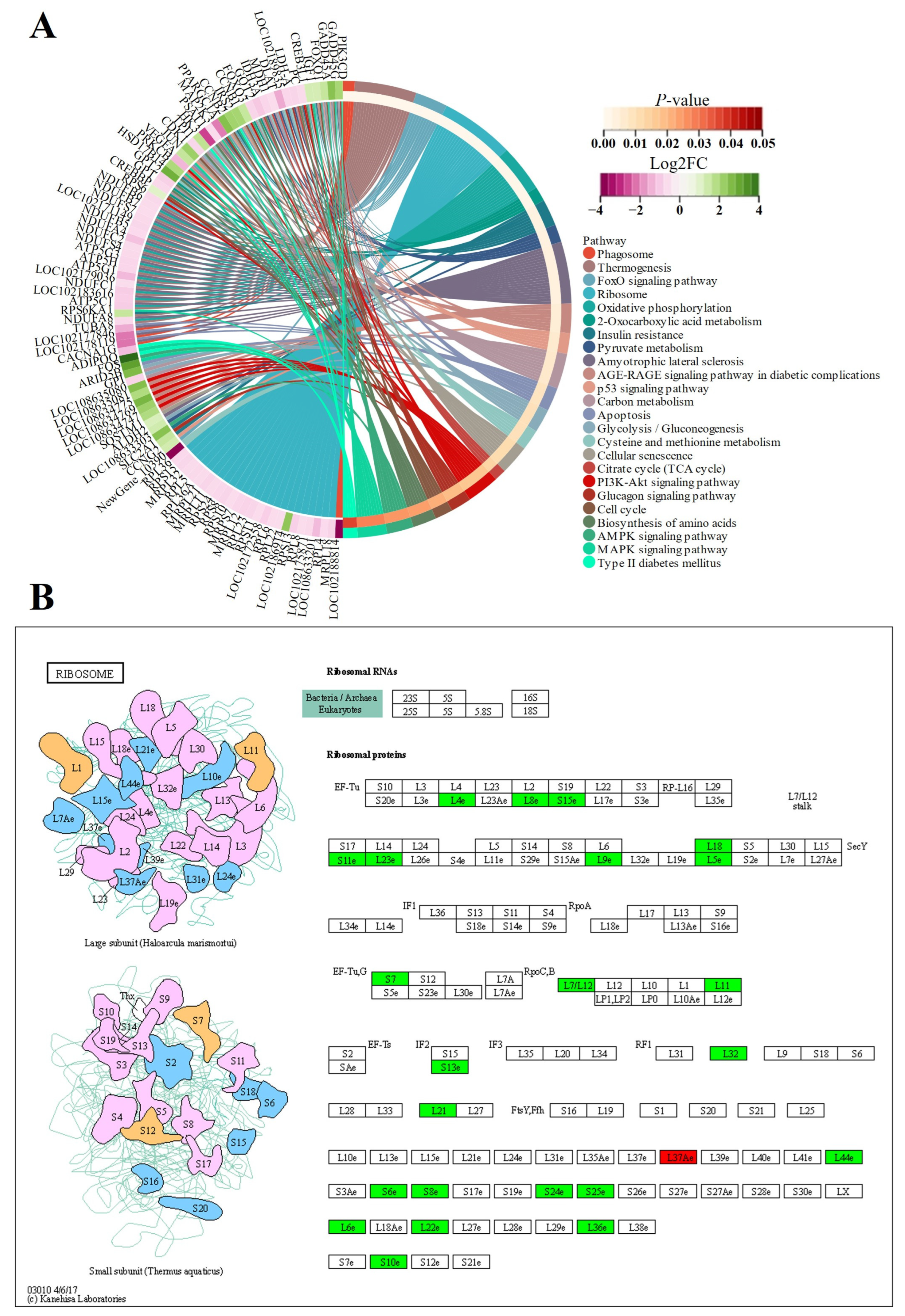 Animals 14 01770 g018