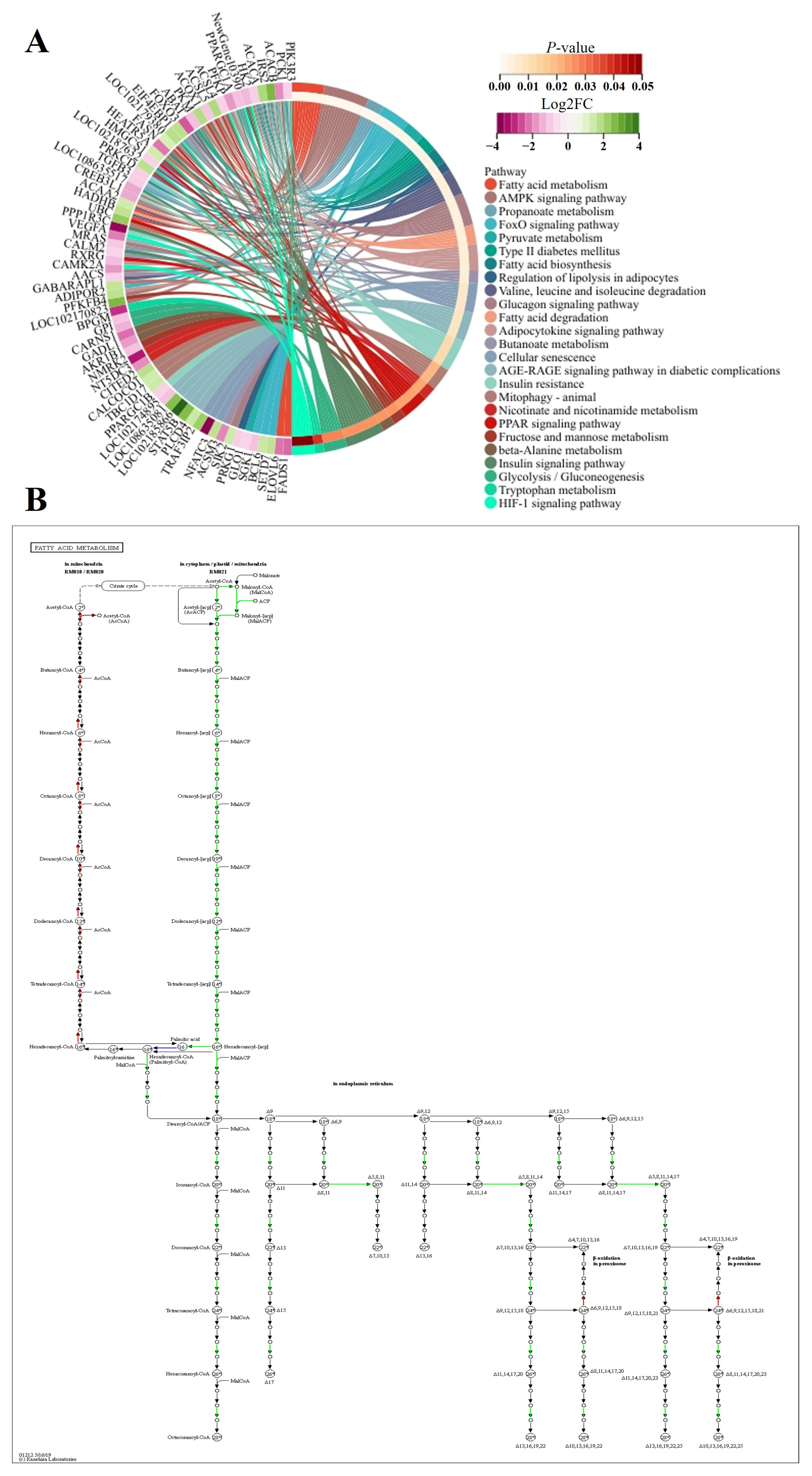 Animals 14 01770 g019