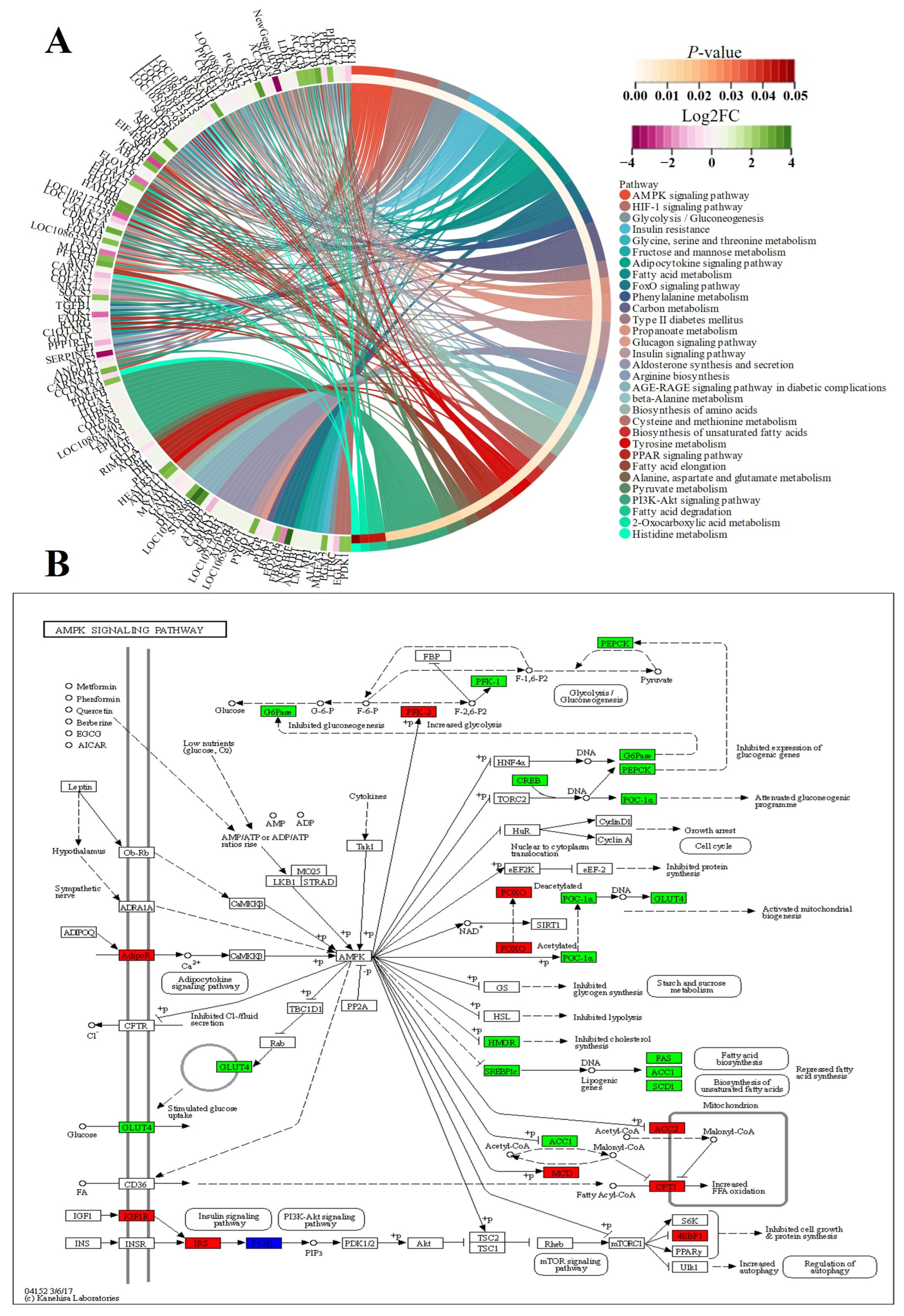 Animals 14 01770 g020