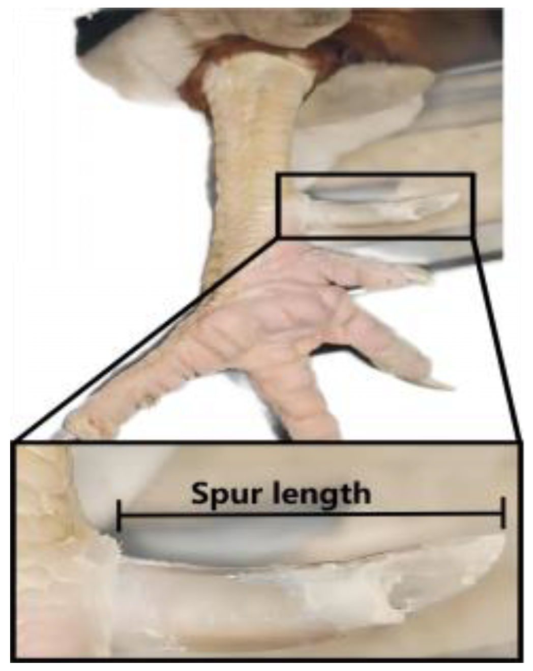 Animals 14 01780 g001