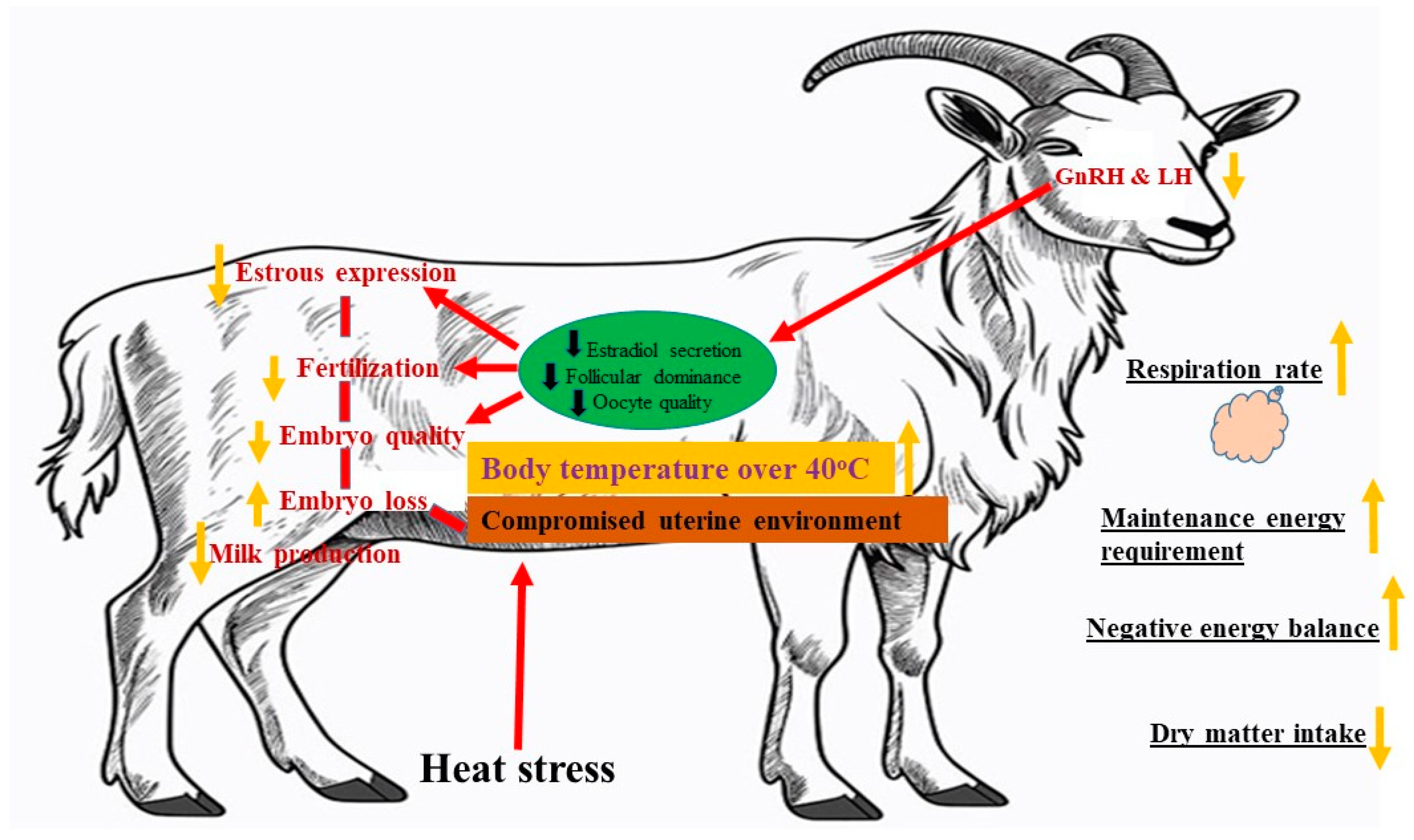 Animals 14 01793 g002
