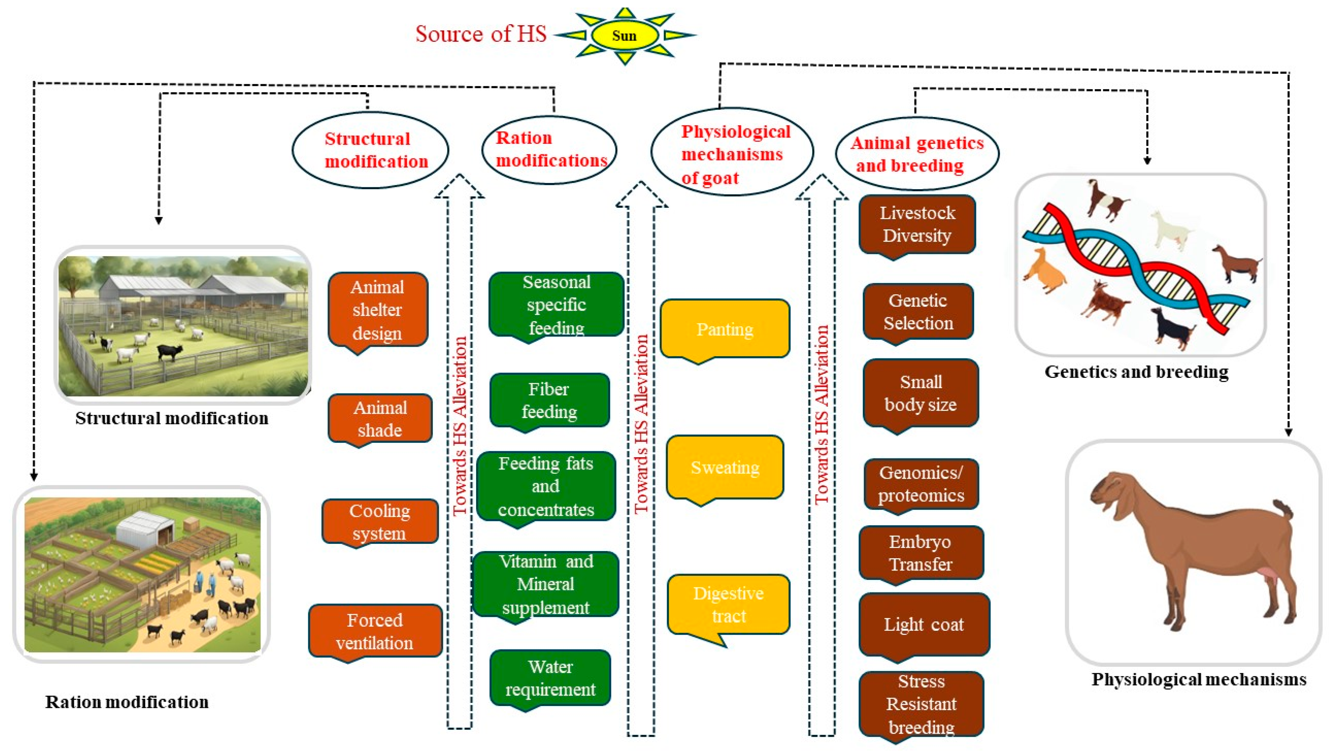 Animals 14 01793 g004