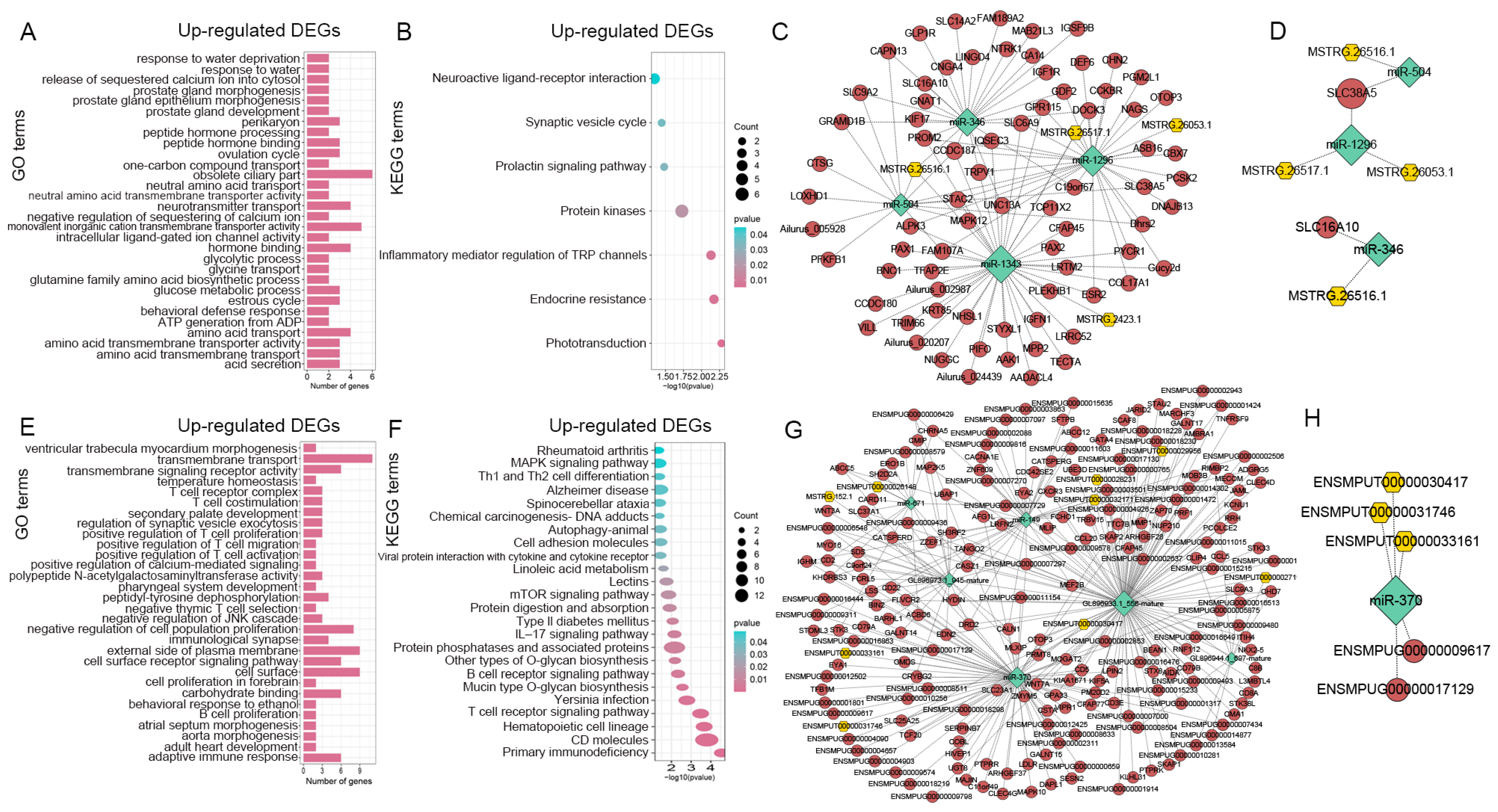 Animals 14 01795 g006